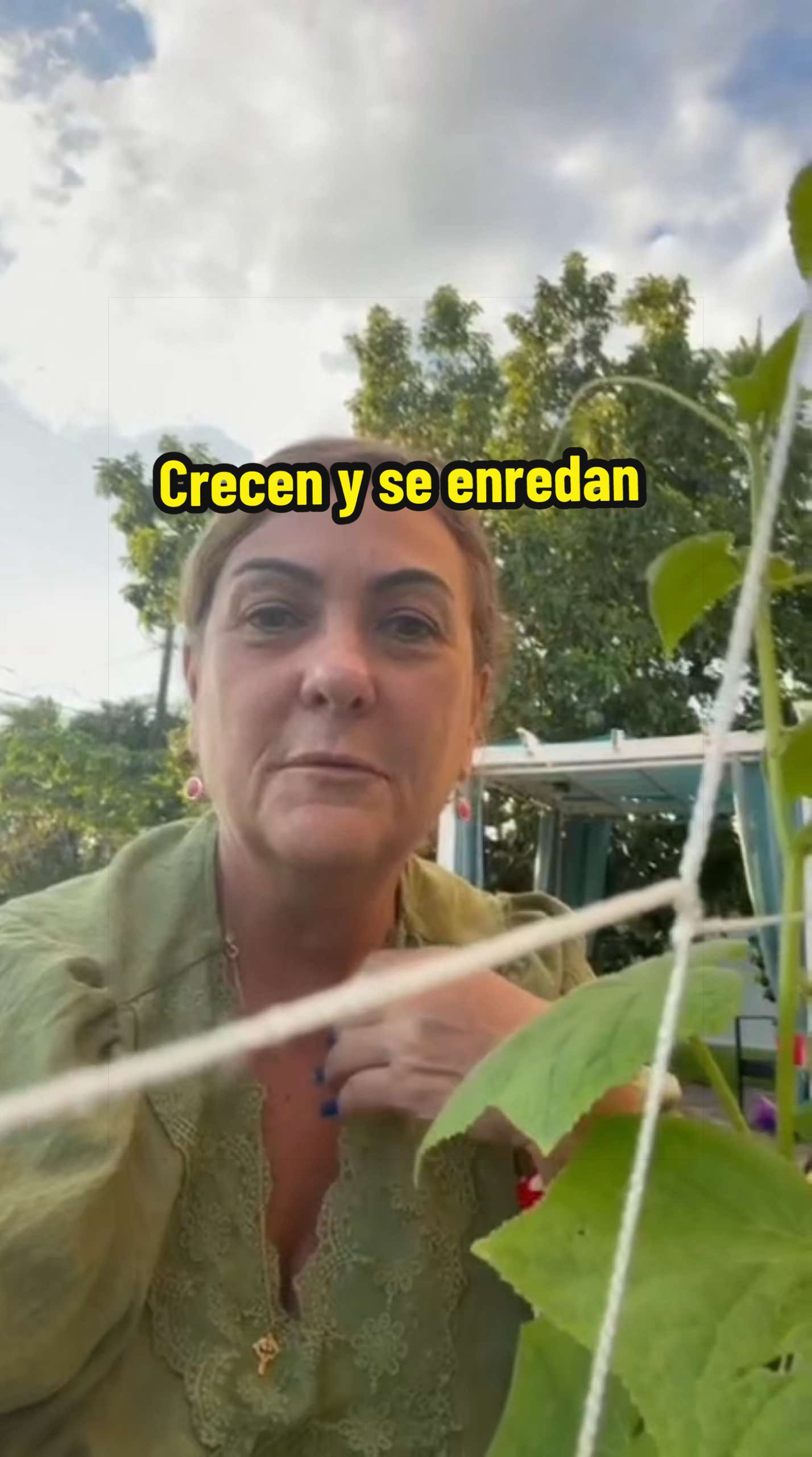 @Aprendiendo con Ana