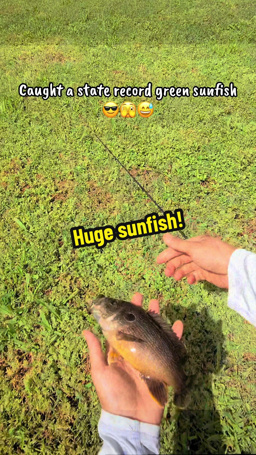 @Luu Nguyen Fishing