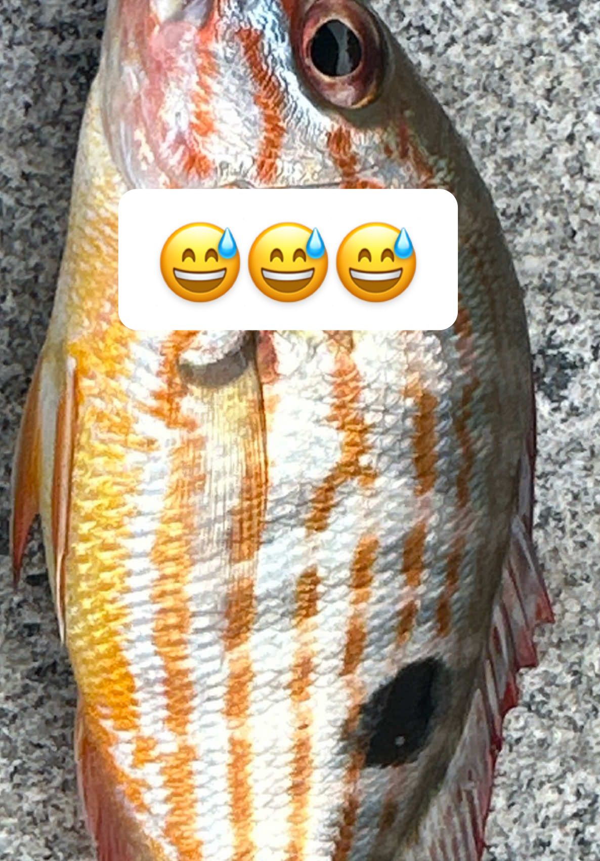 @im_him064