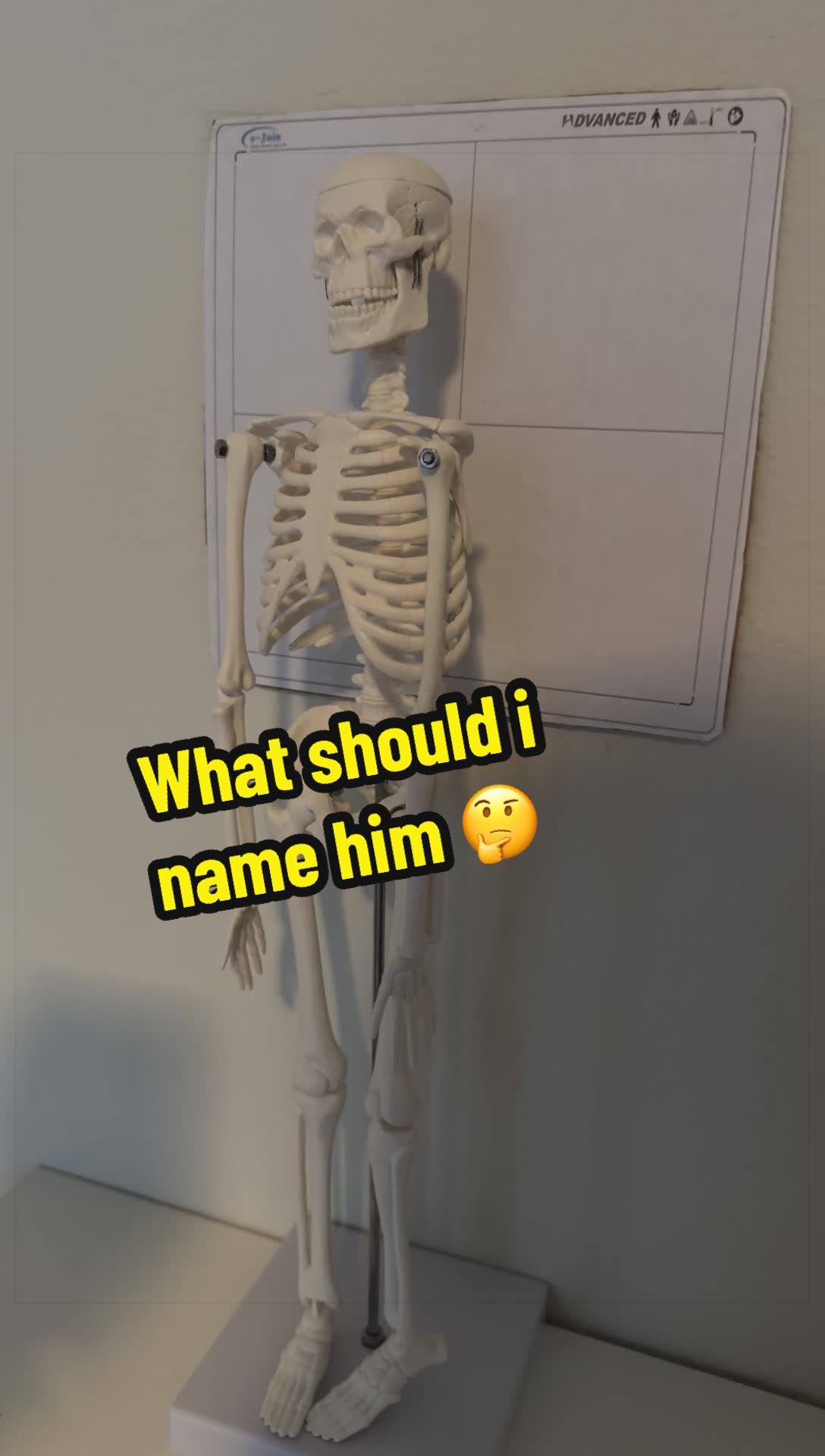 @J U L I E