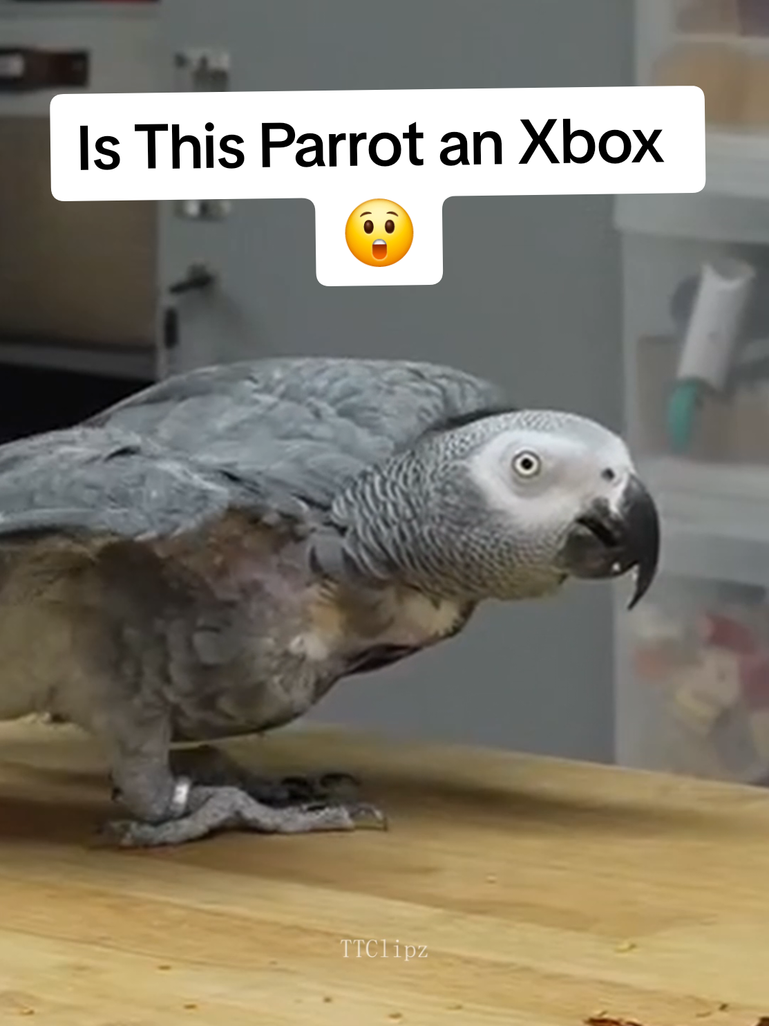 @TrendyTwitchClipz