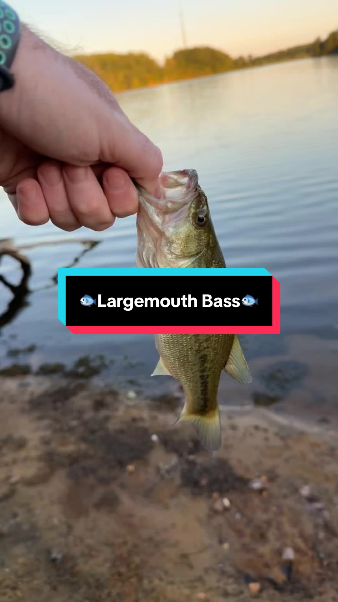 @fb1fishing