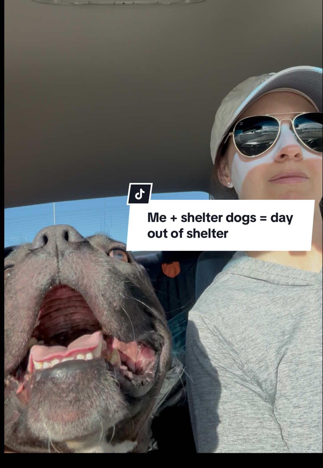 @Tails And Trails