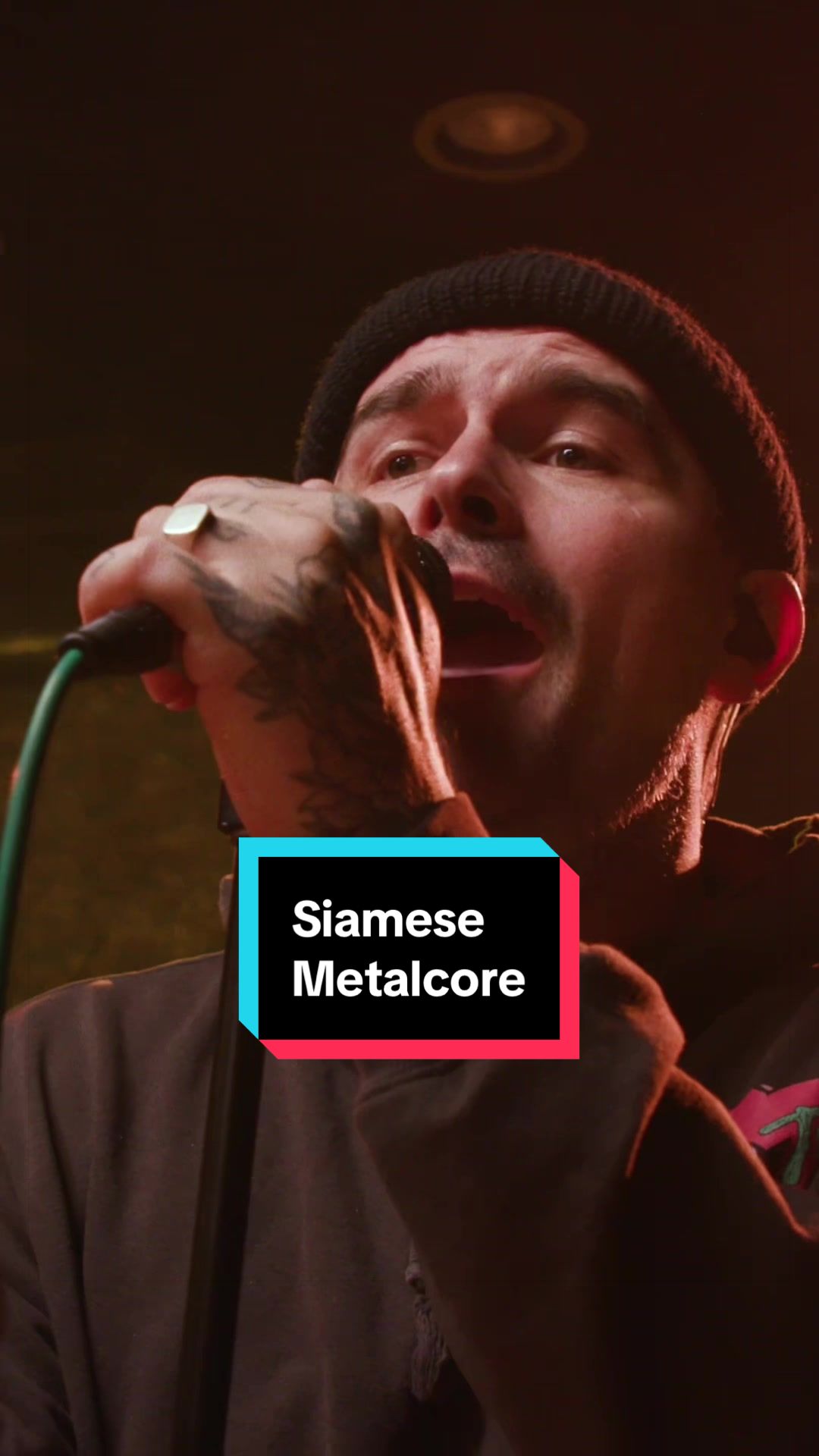 @Audiotree