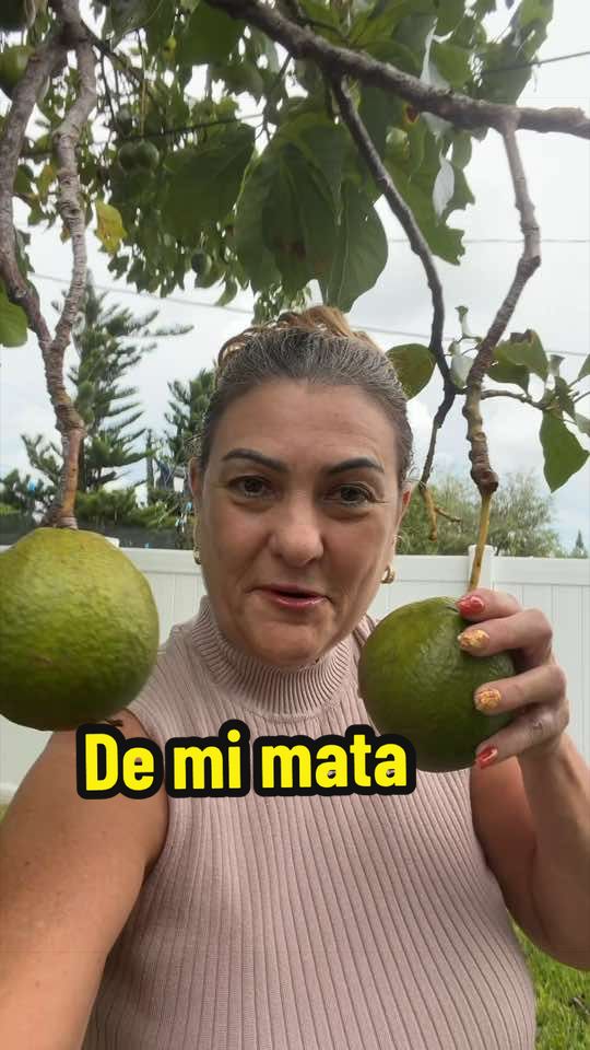 @Aprendiendo con Ana