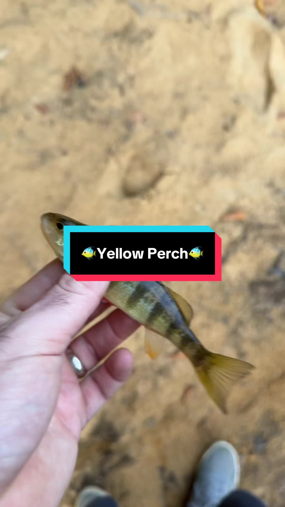 @fb1fishing