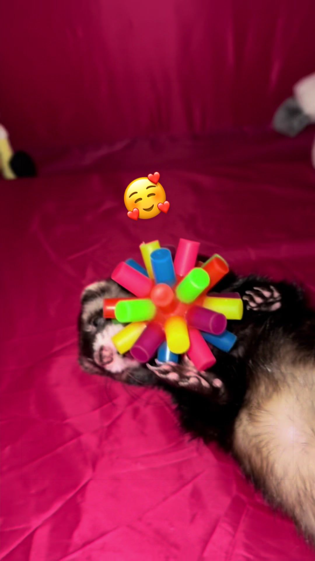 @Veritologic