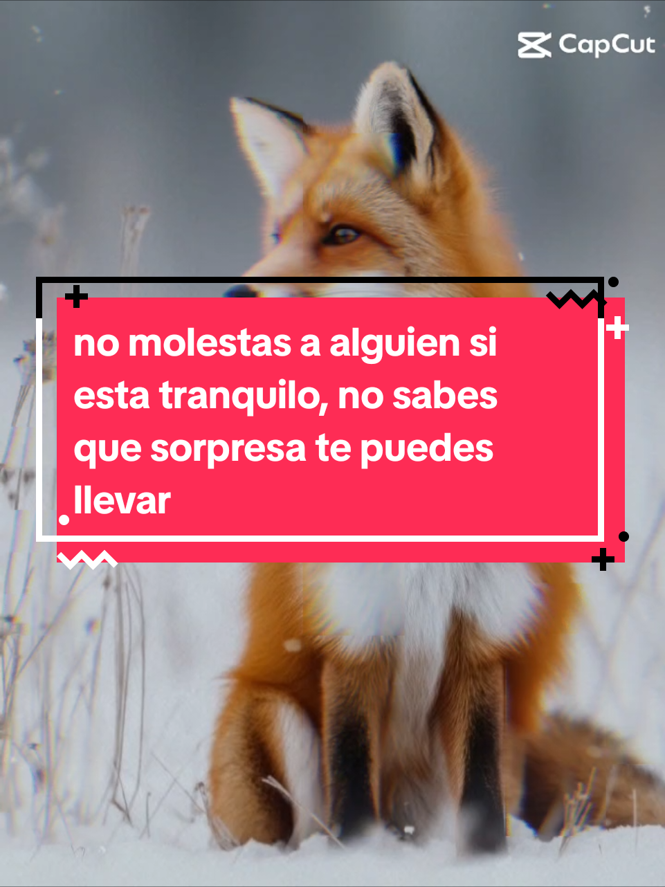 @Monarca_EliteGaming🎮