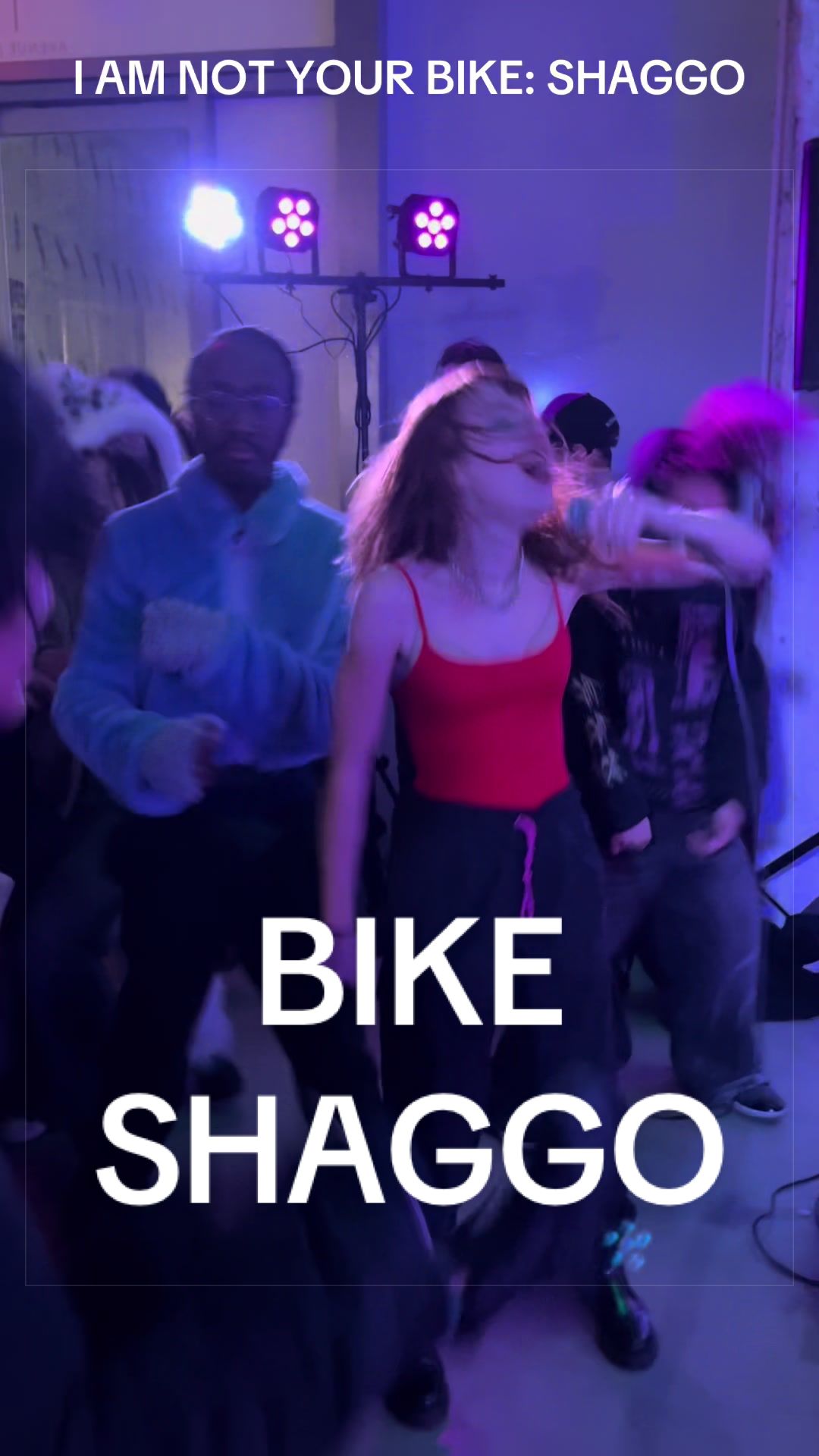 @cattnyc