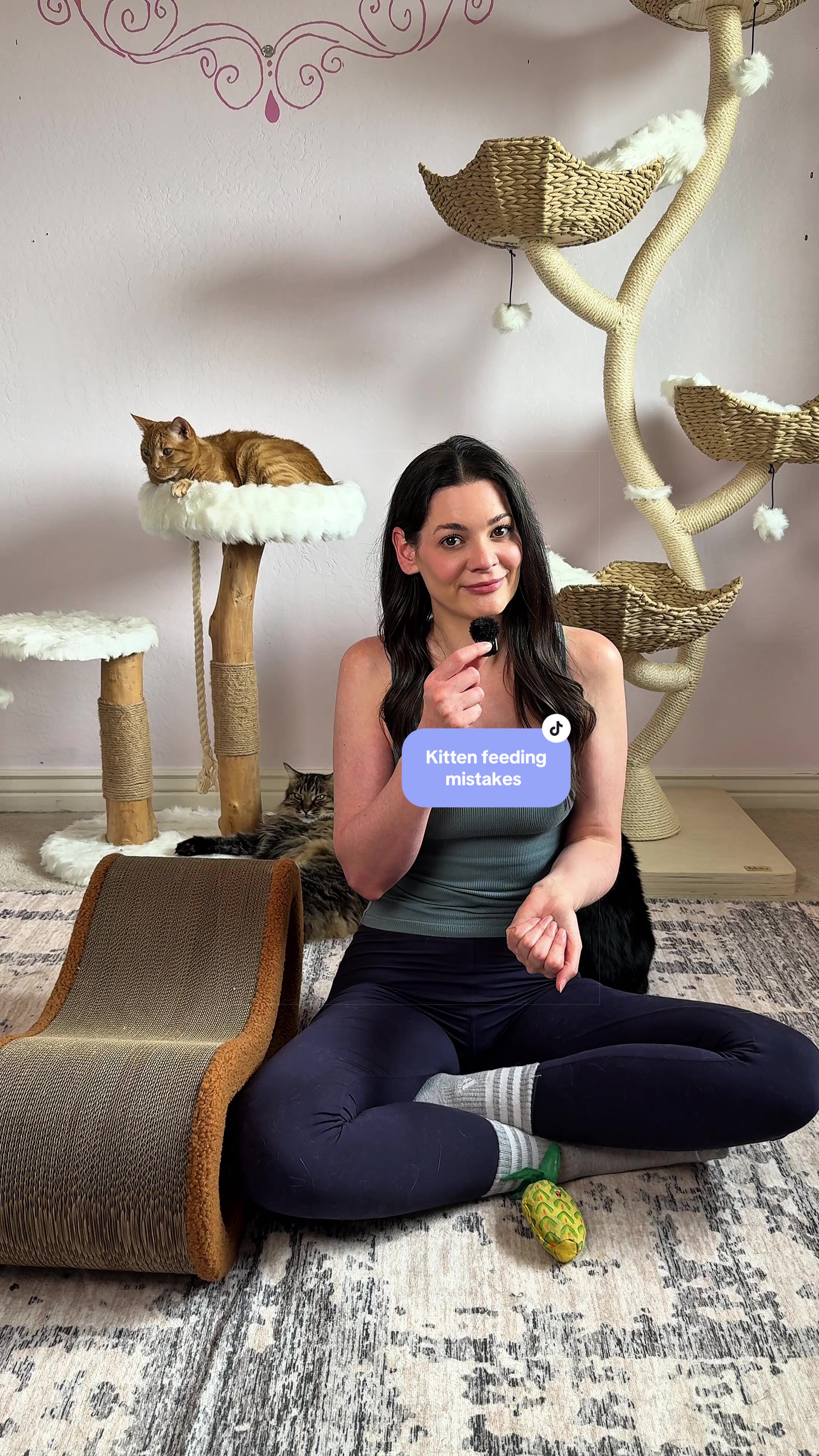 @Feminist Kitty | Cat Nutrition