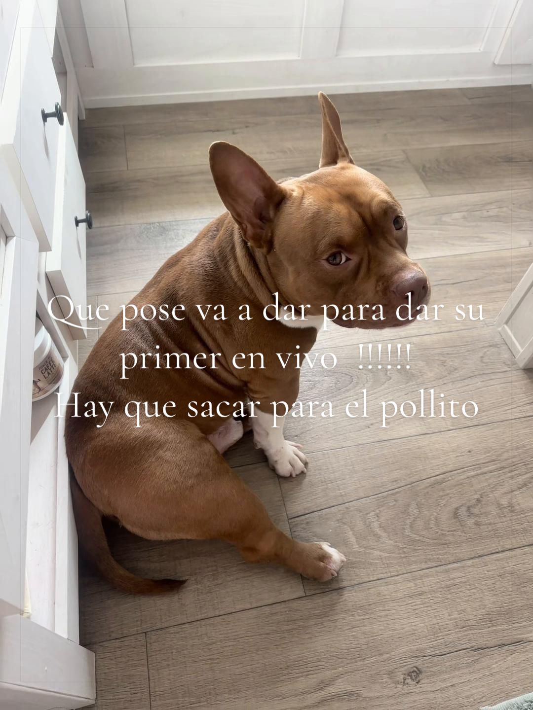 @Yuri L&aacute;zaro