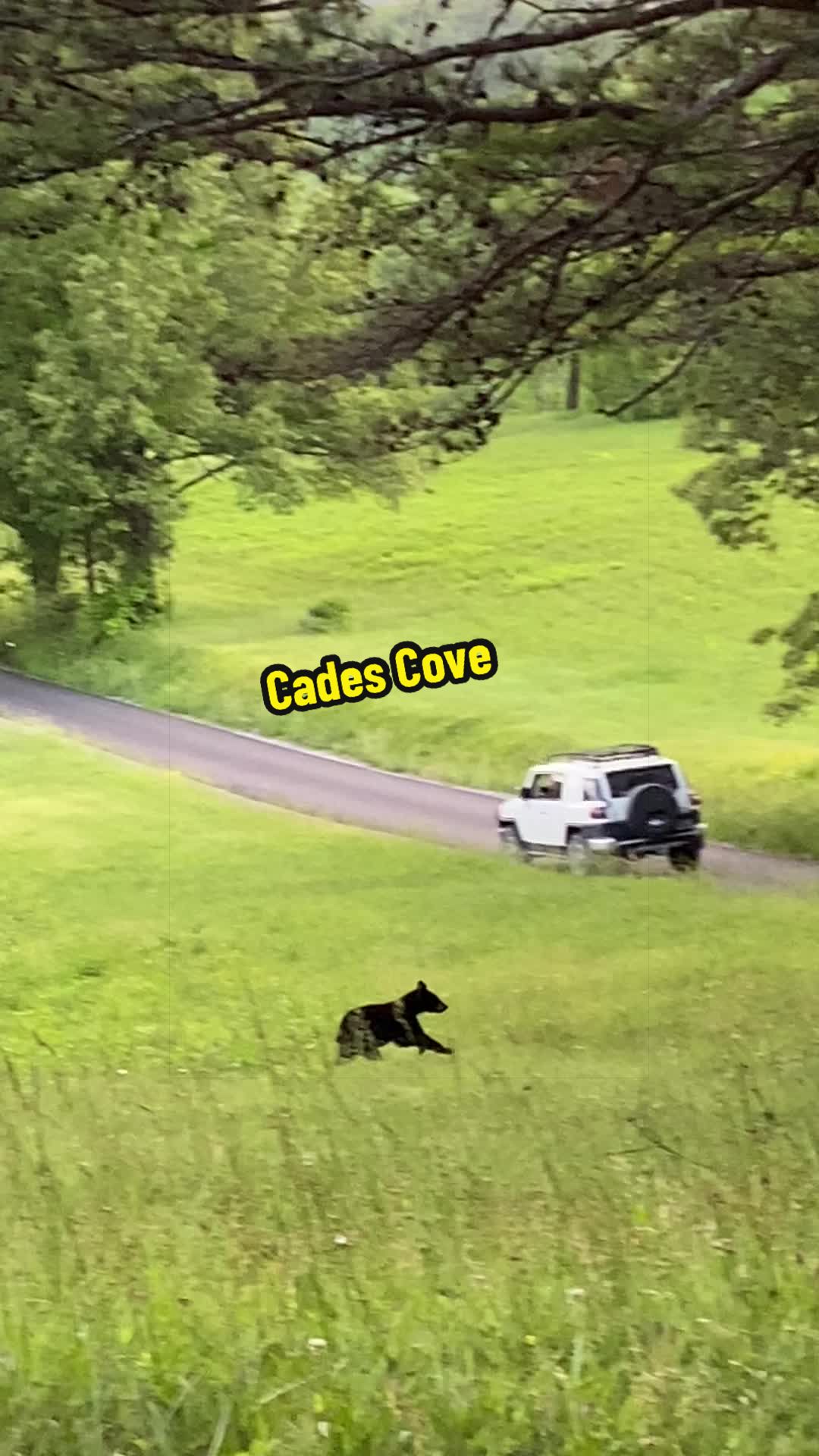 @LaurieS