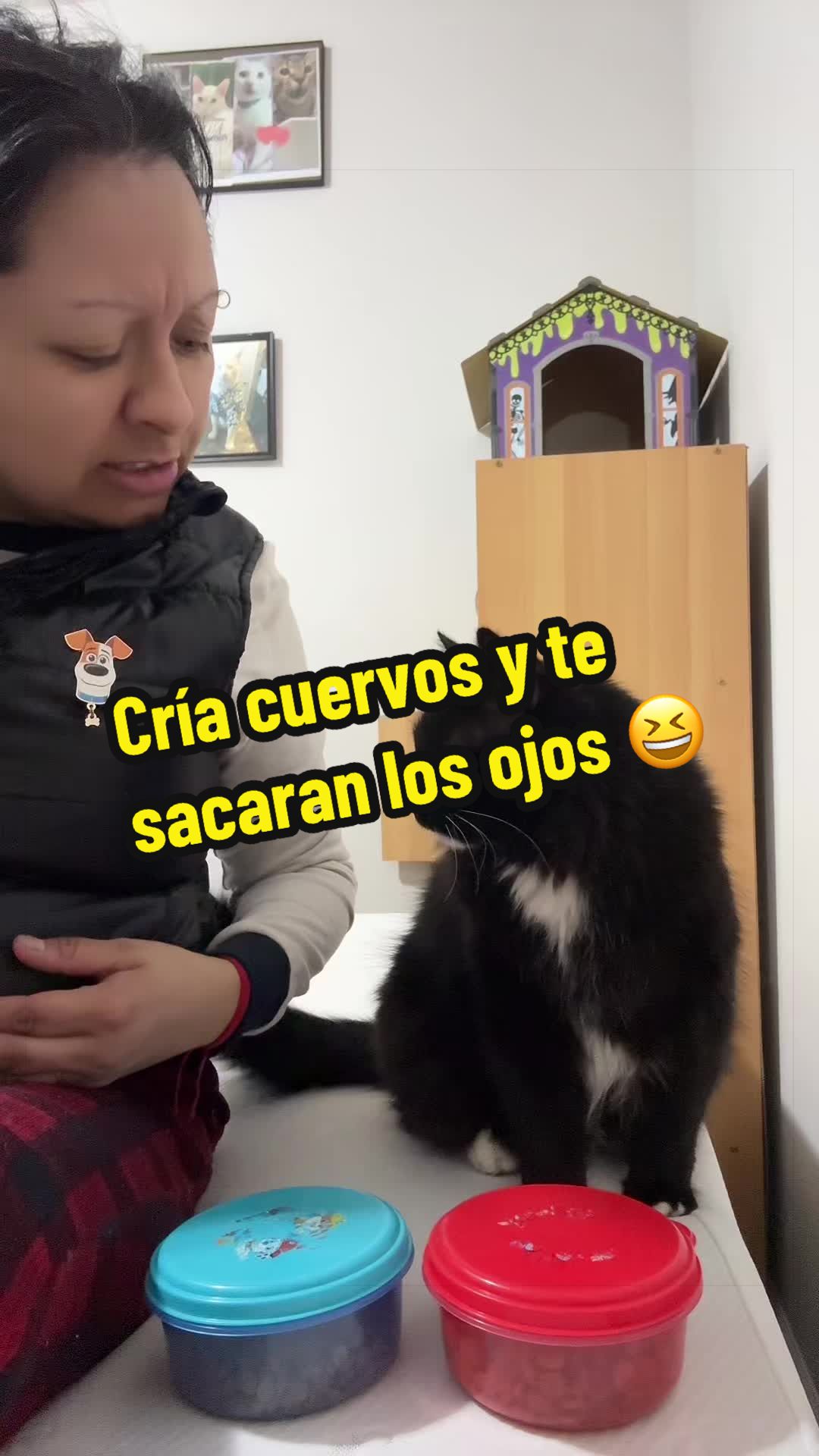 @🦖 MEOWassic World 🌎