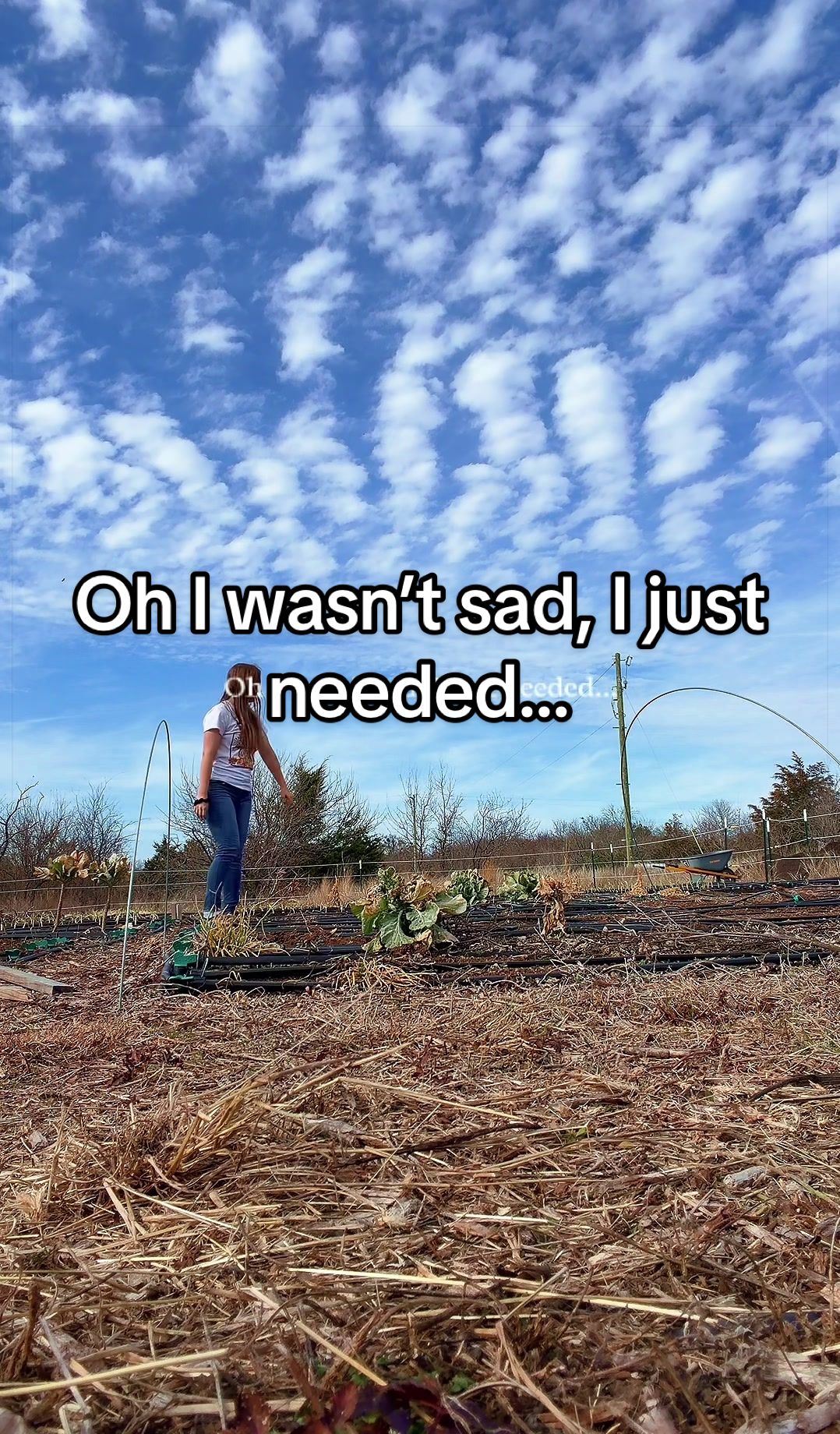 @Dewy Acres Farmstead | Laura