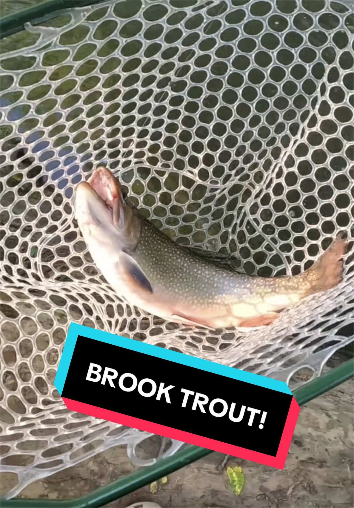 @Rod N Hand Fishing