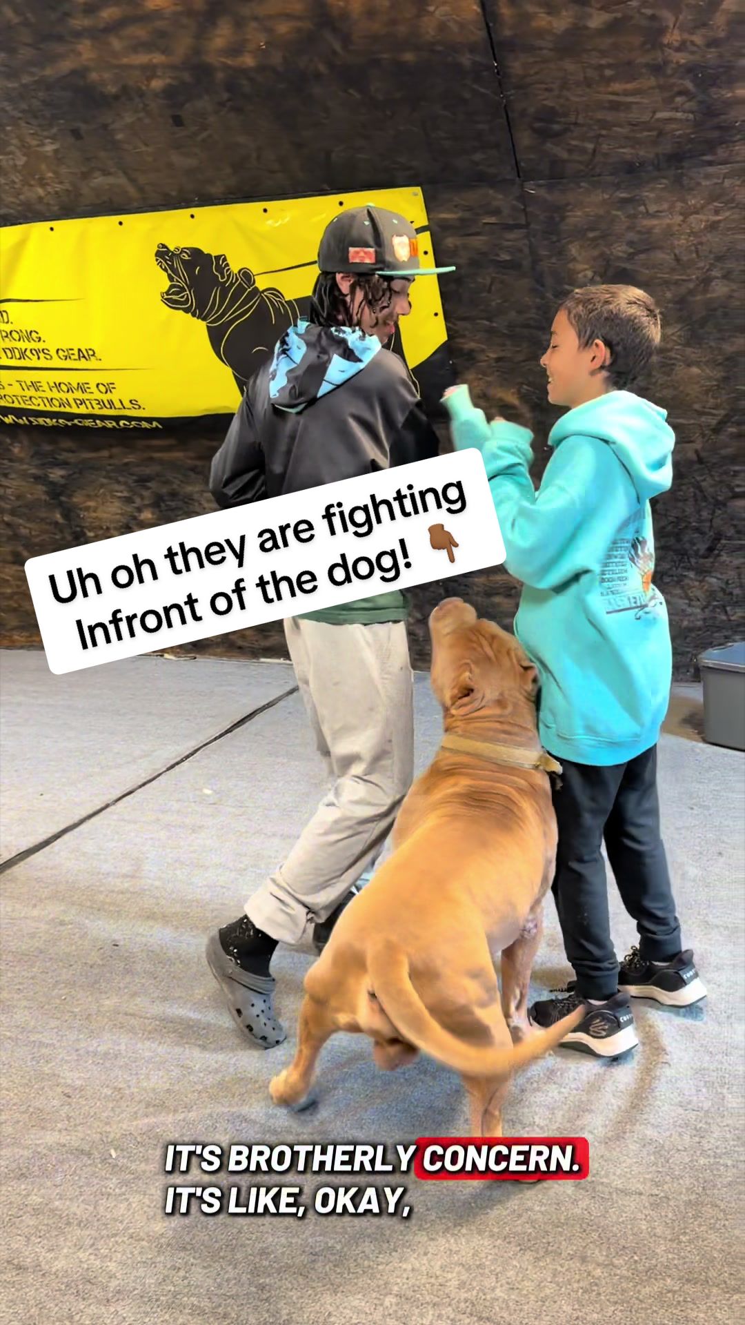 @DarkDynastyK9s