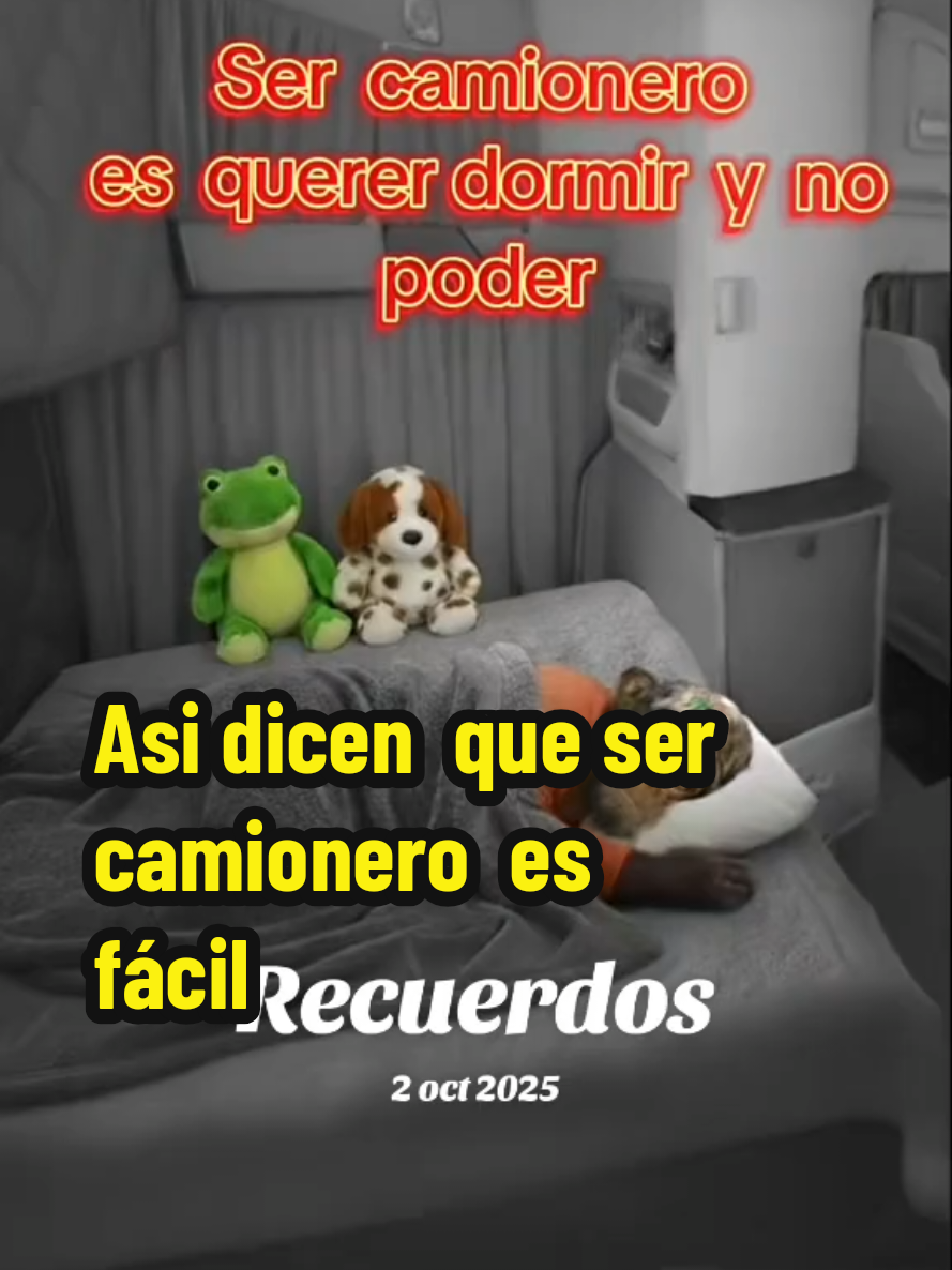 @El🚛Changonero🇨🇴🇺🇸