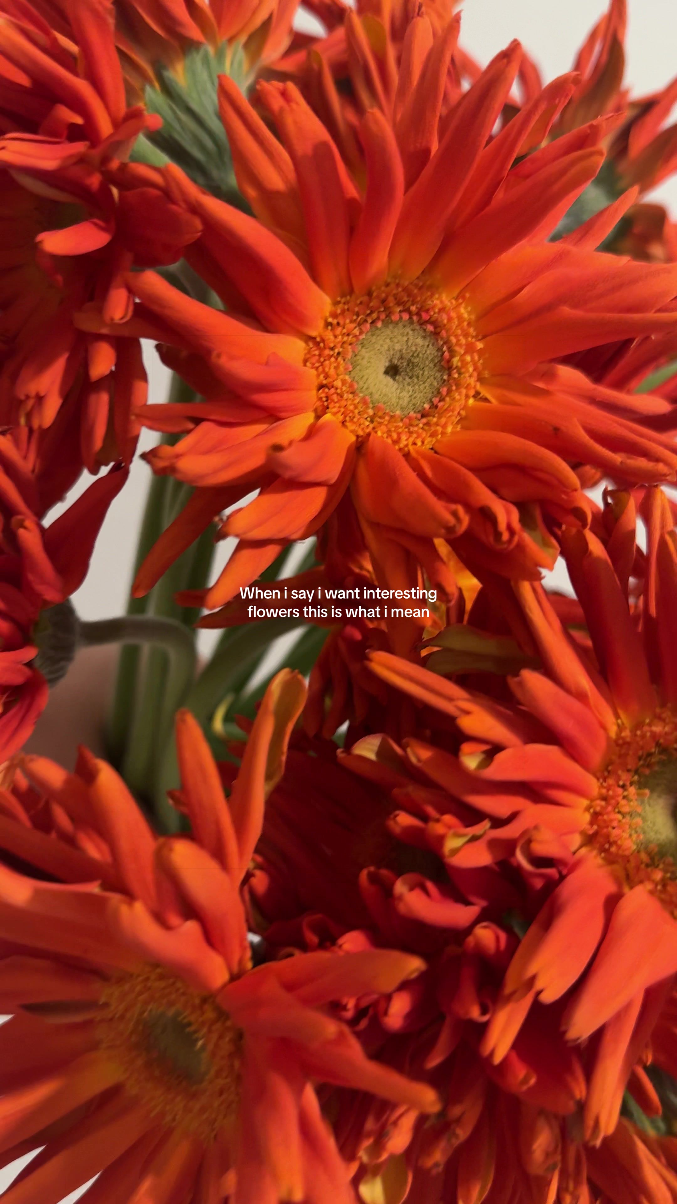@HTX Floral & Event Designer