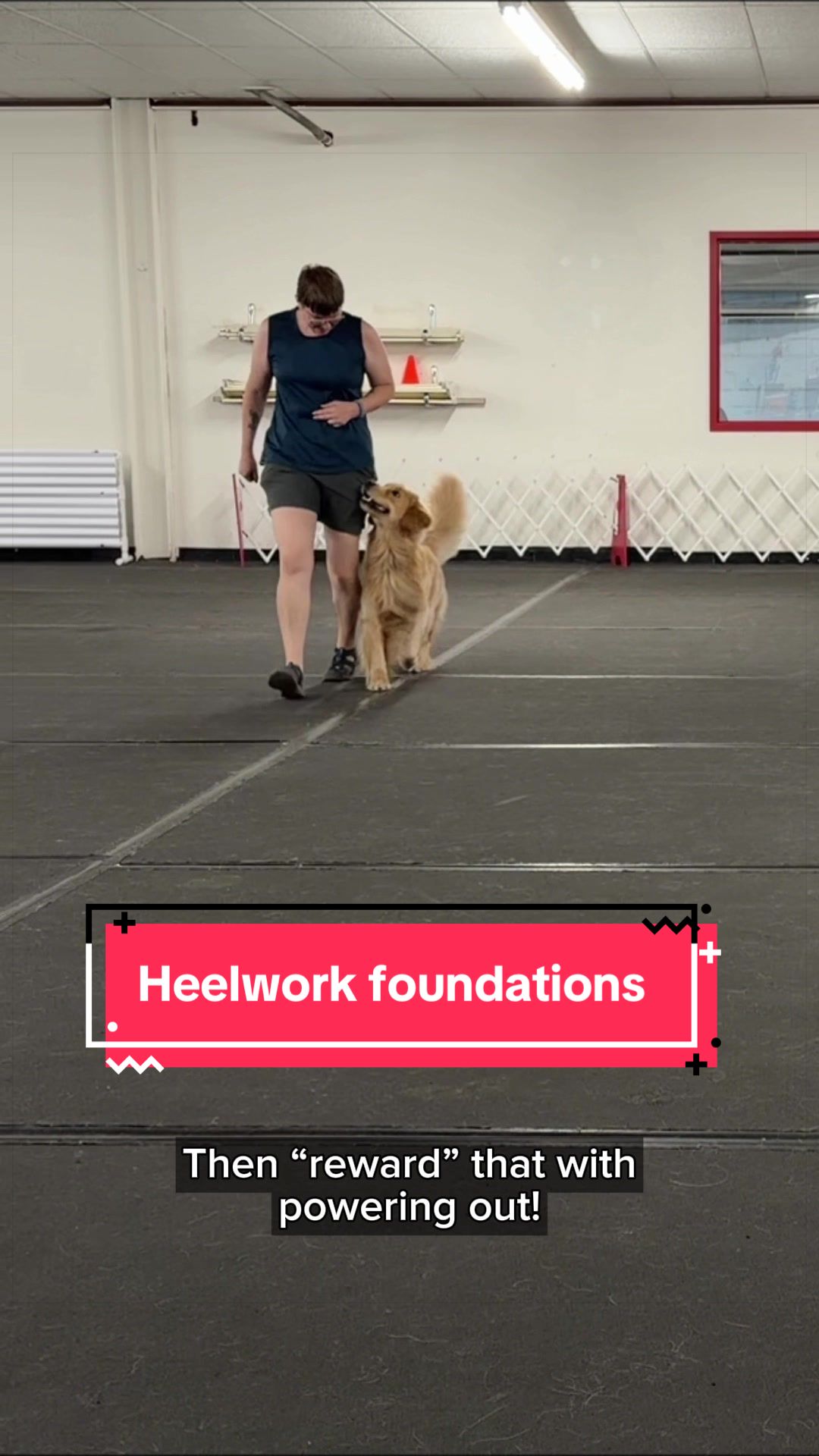 @Laura Waudby - Dog Sports
