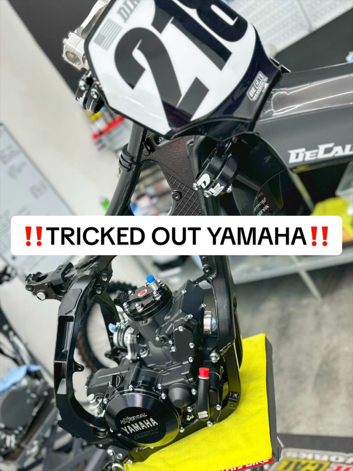 @mXrevival