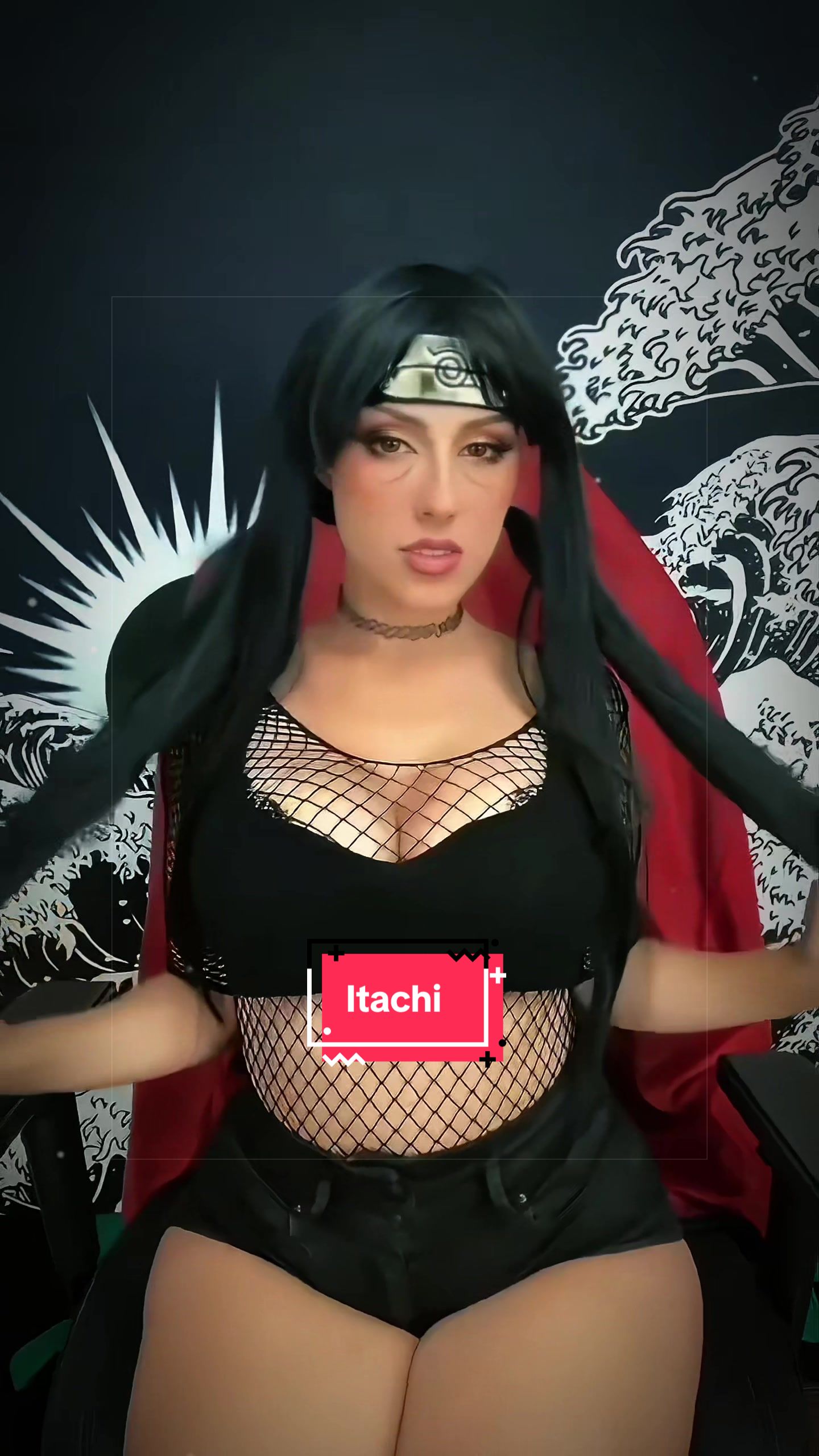 @catlikemeow✨@catfalco on insta