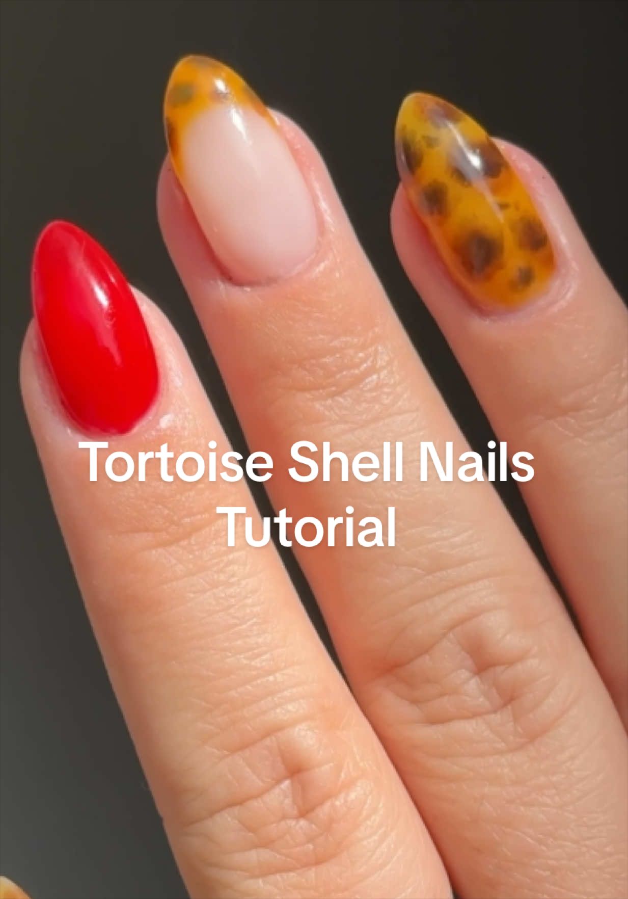 @Nailboo