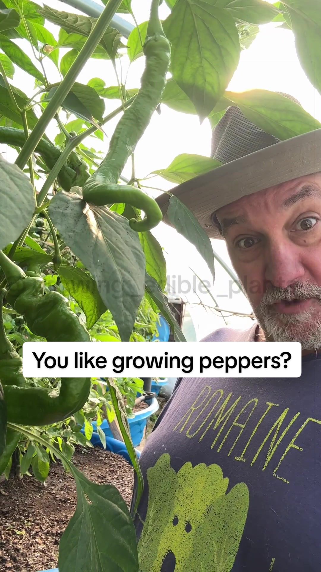 @GROWING_EDIBLE_PLANTS