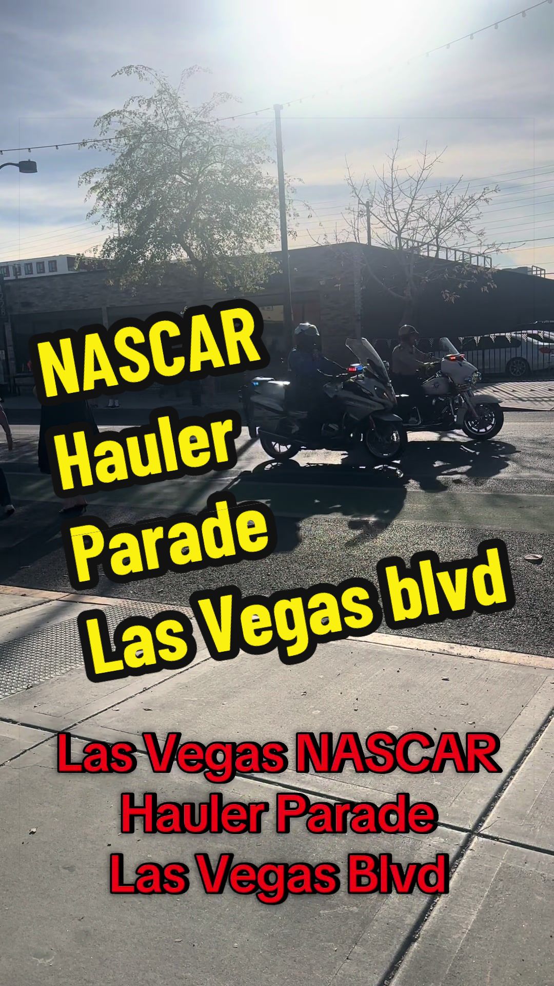 @VegasSheila