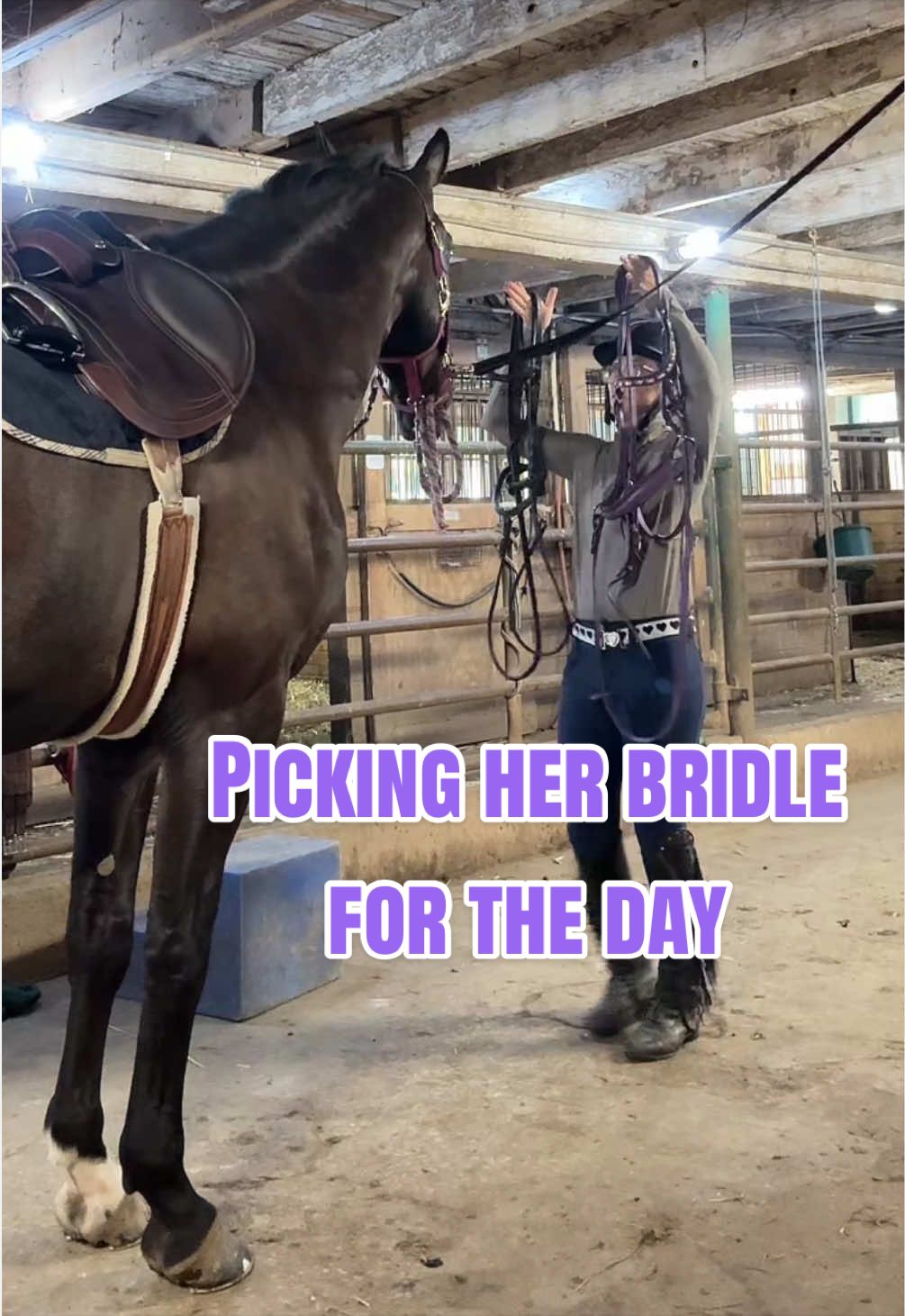 @Equestrian |🦄 Mom