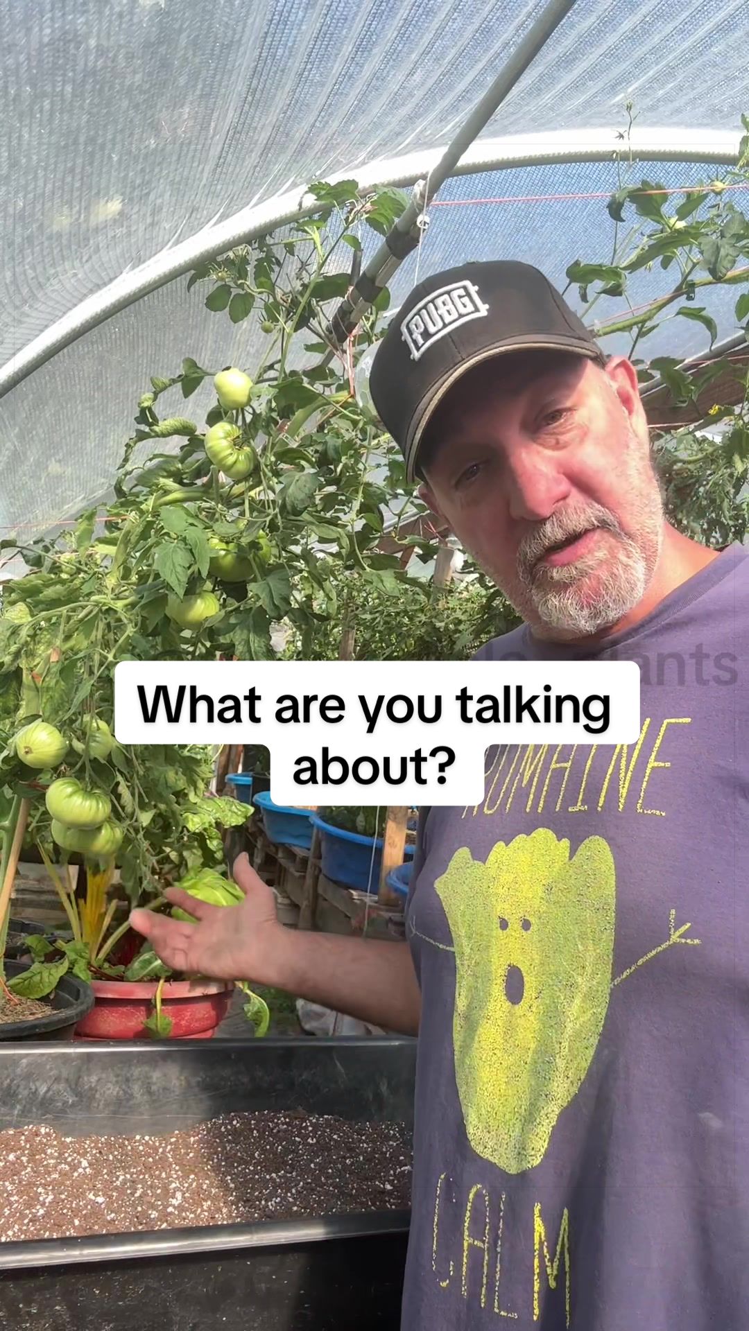 @GROWING_EDIBLE_PLANTS