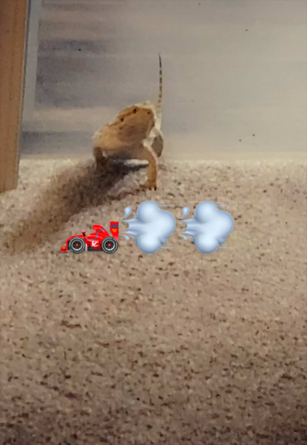 @indominusreps