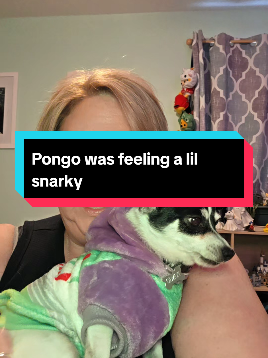 @Mama Pongo