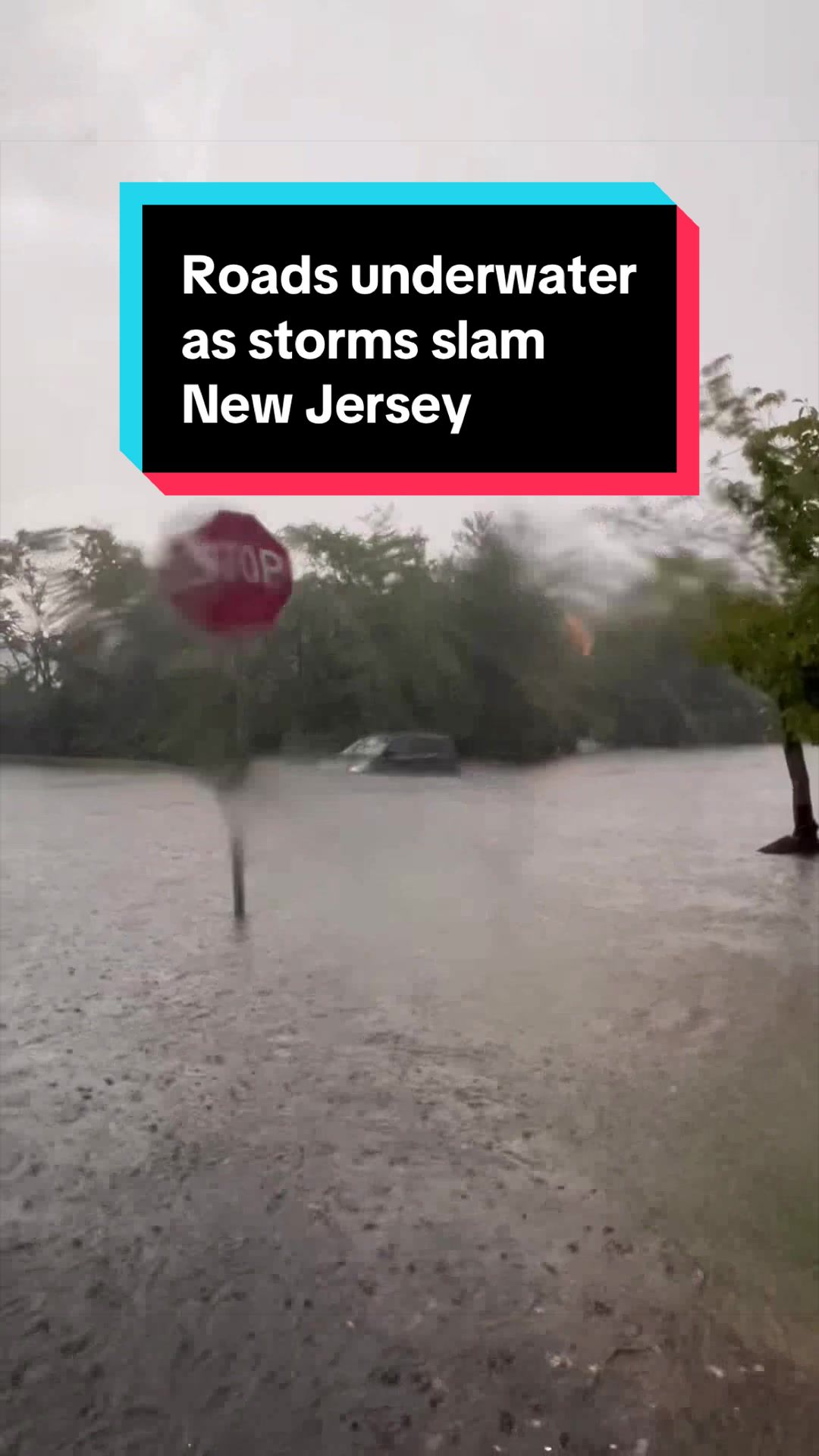 @NJ.com | New Jersey News