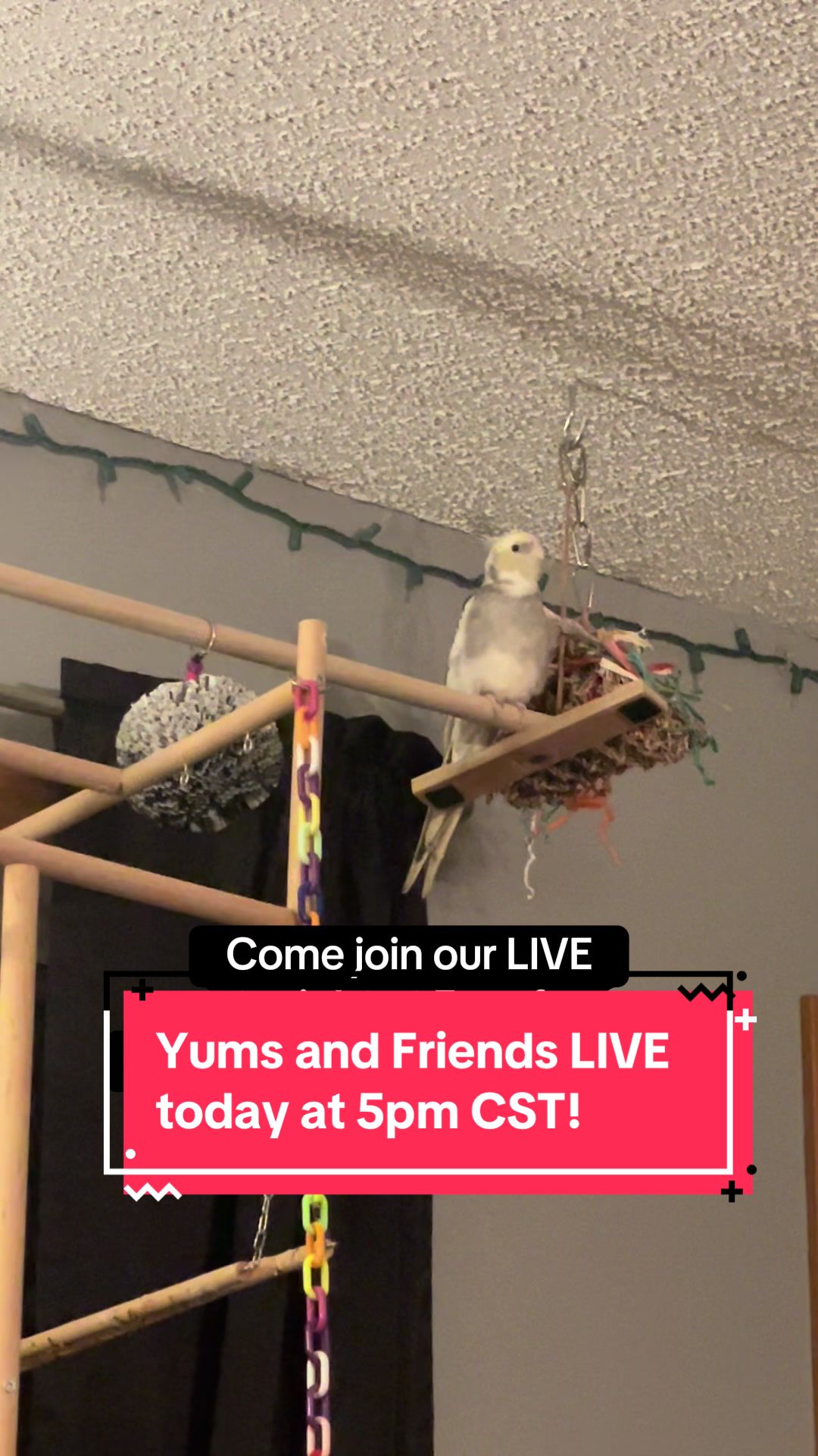 @yumsandfriends