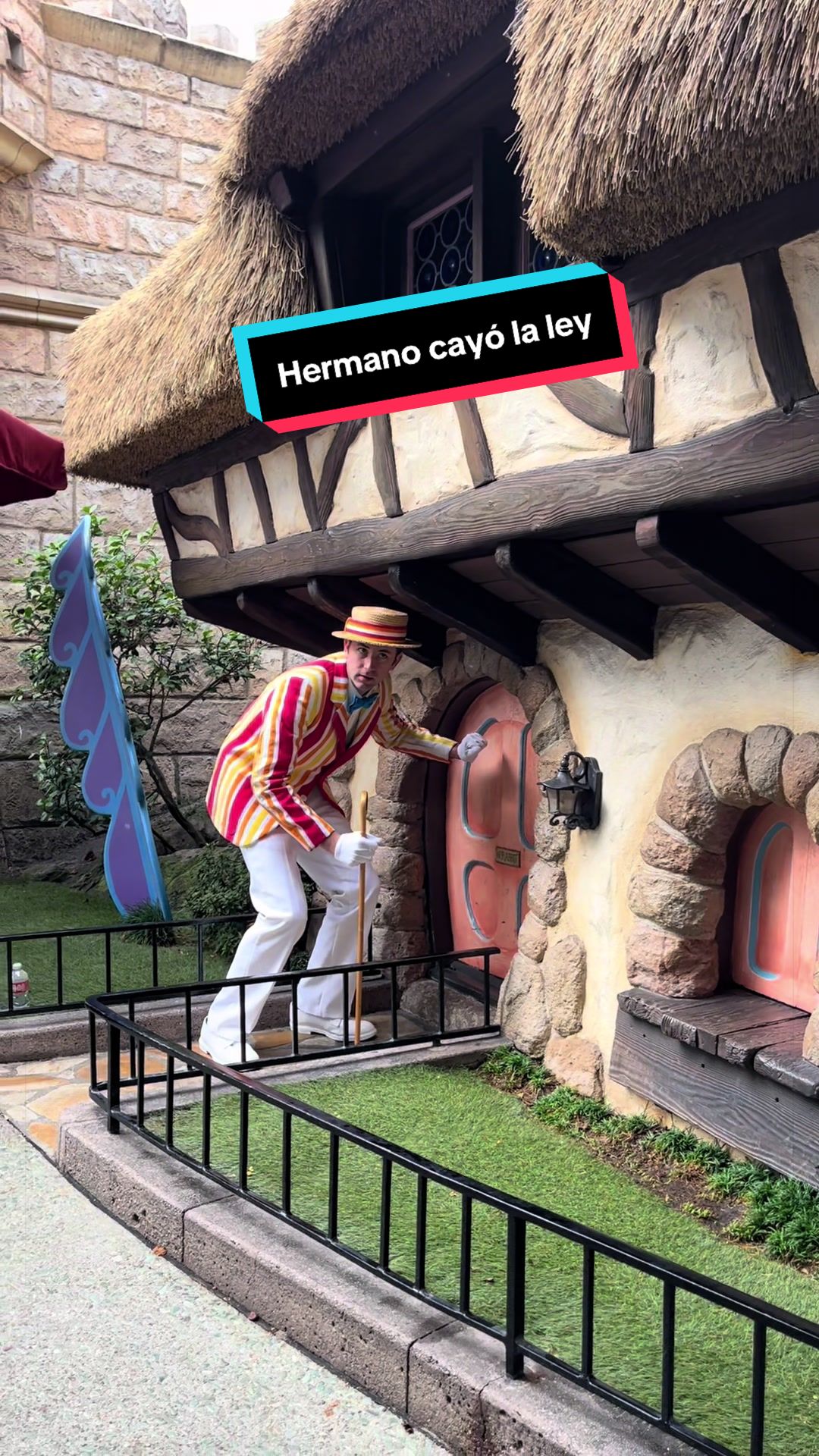 @En Disneylandia