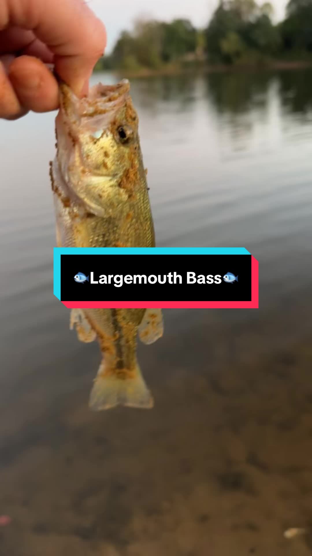 @fb1fishing