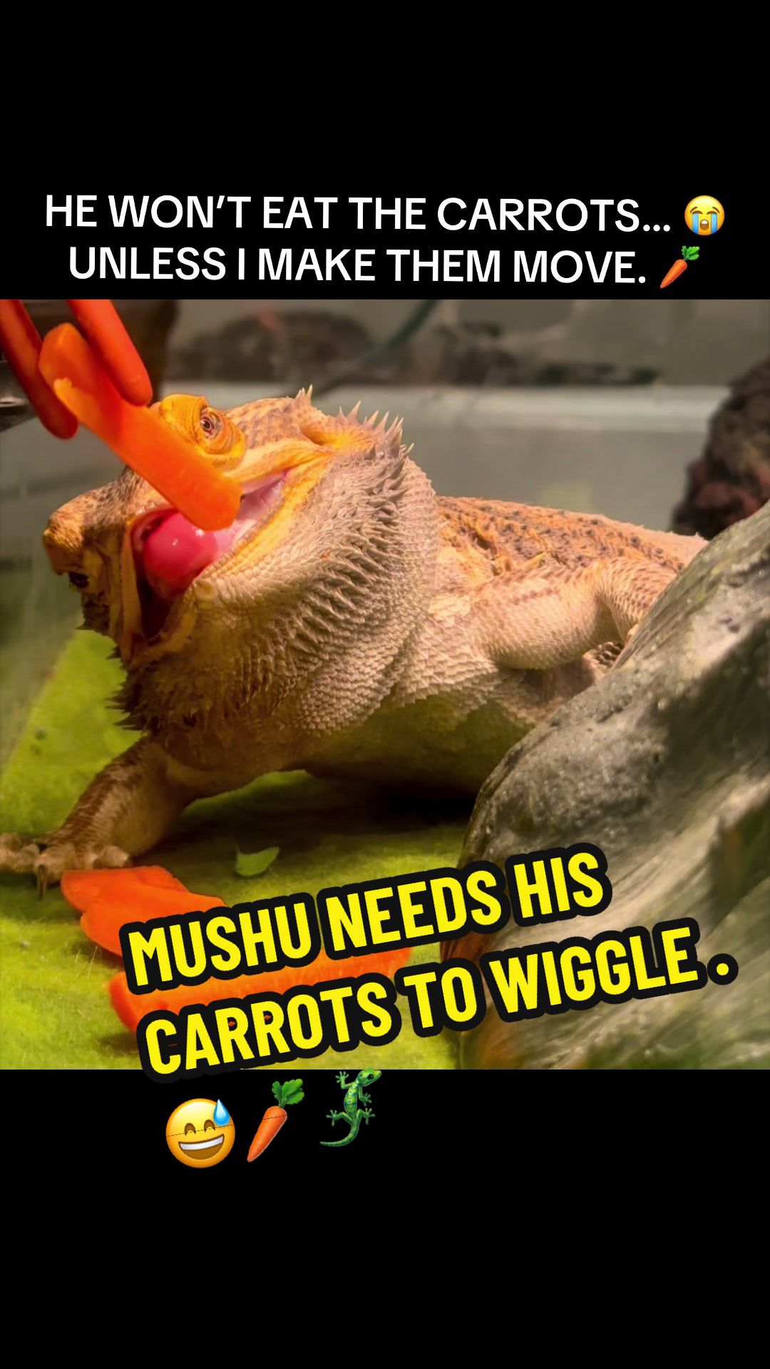 @darrian_iii