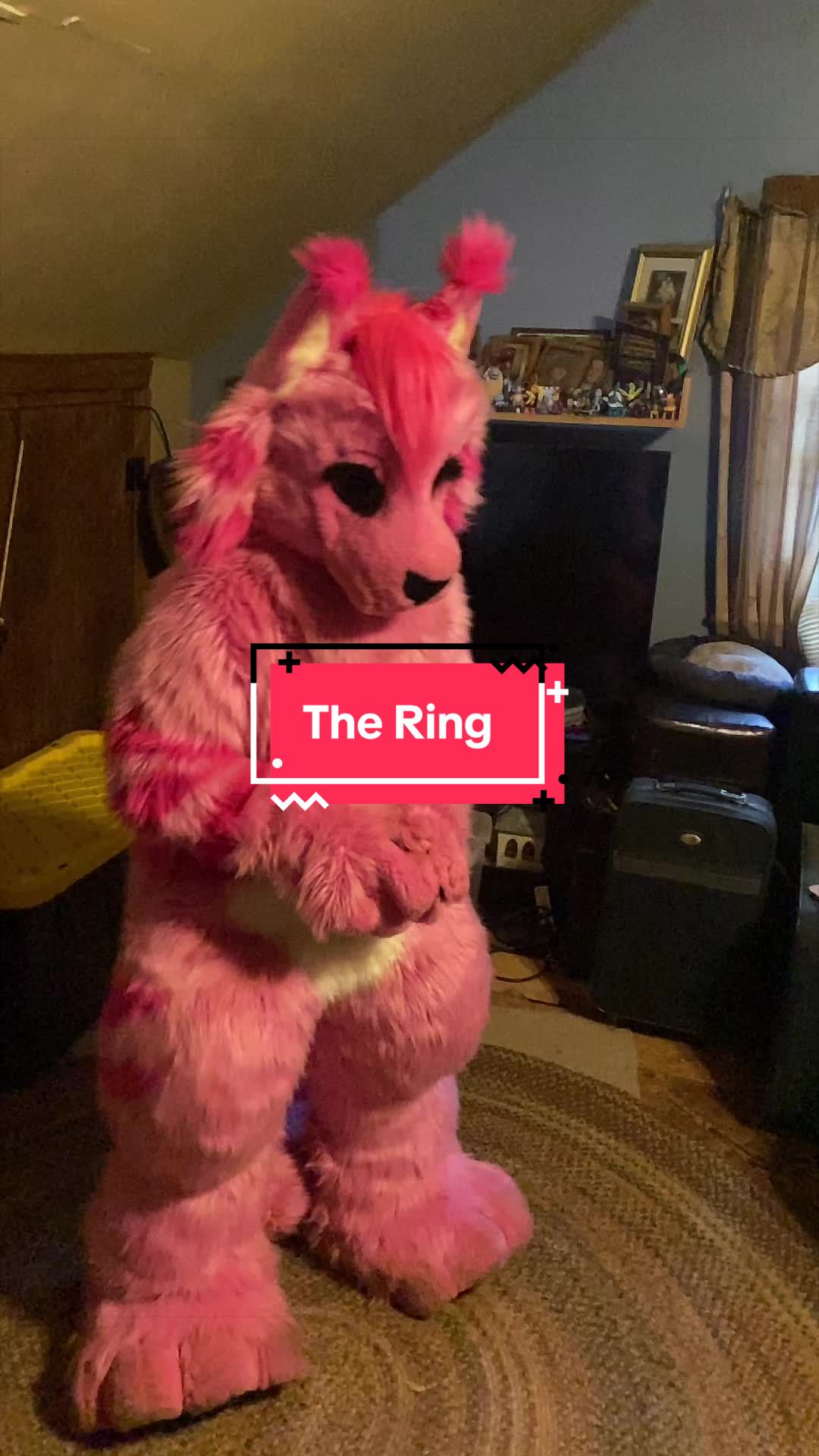 @Annakitty13
