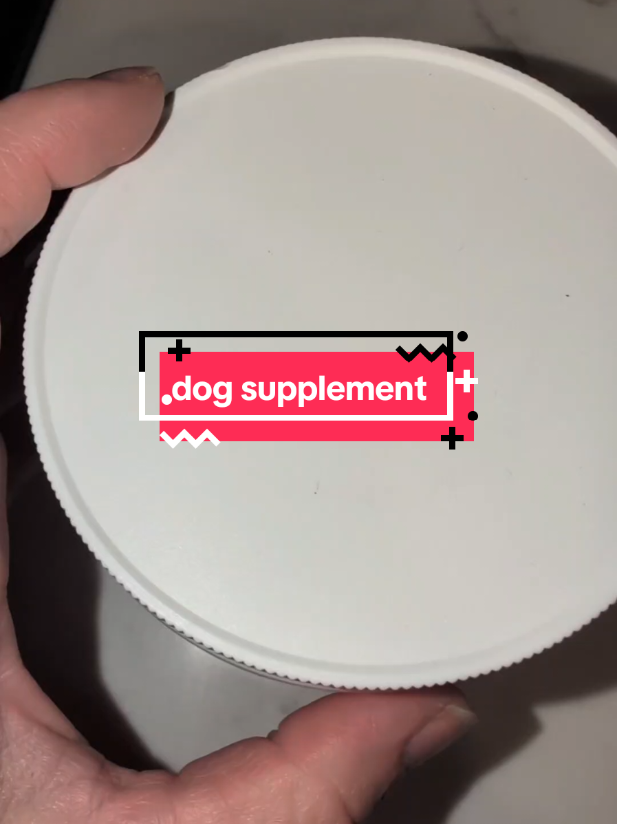 @Chickens & Bullies