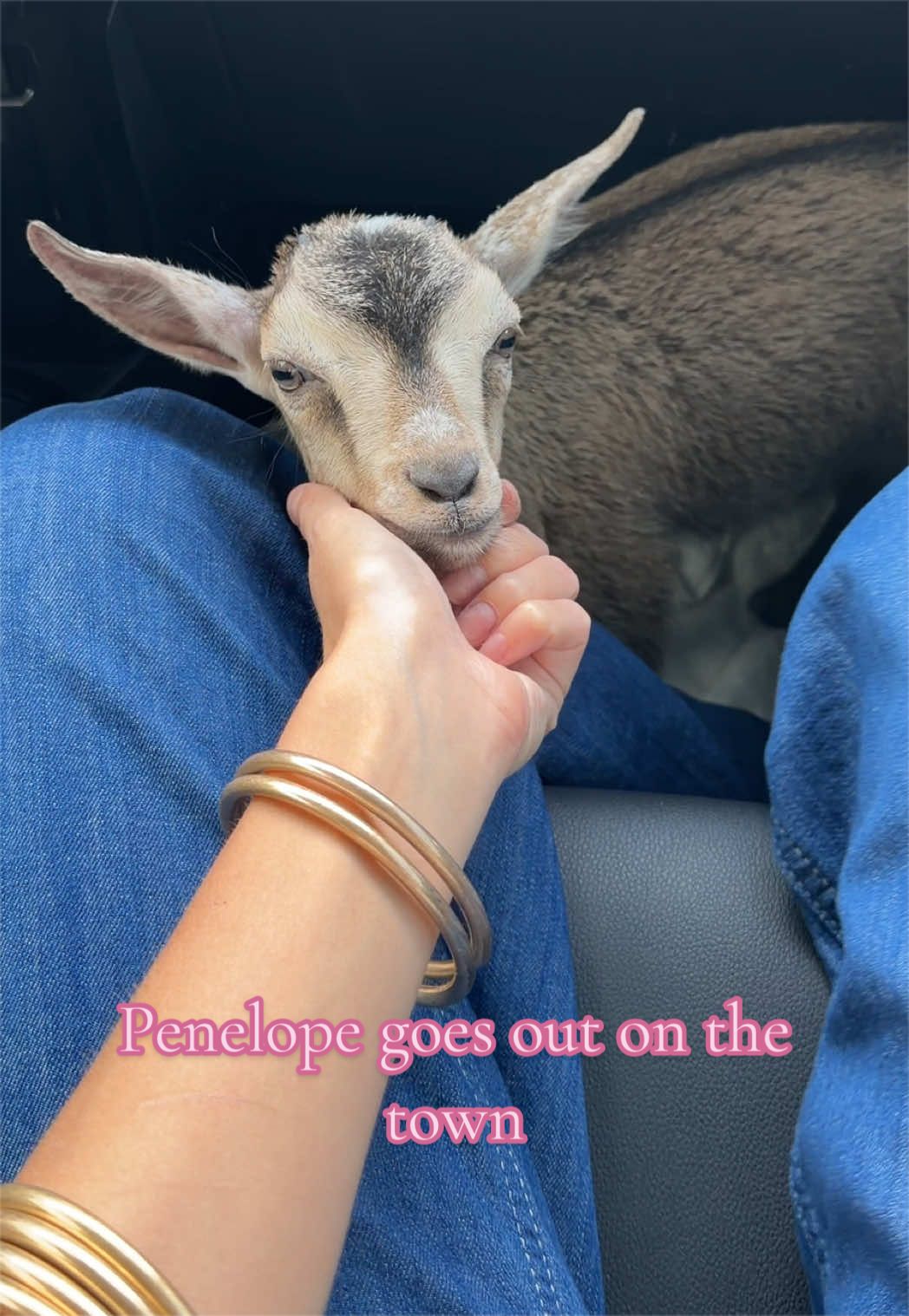 @meg&rsquo;s mini farm