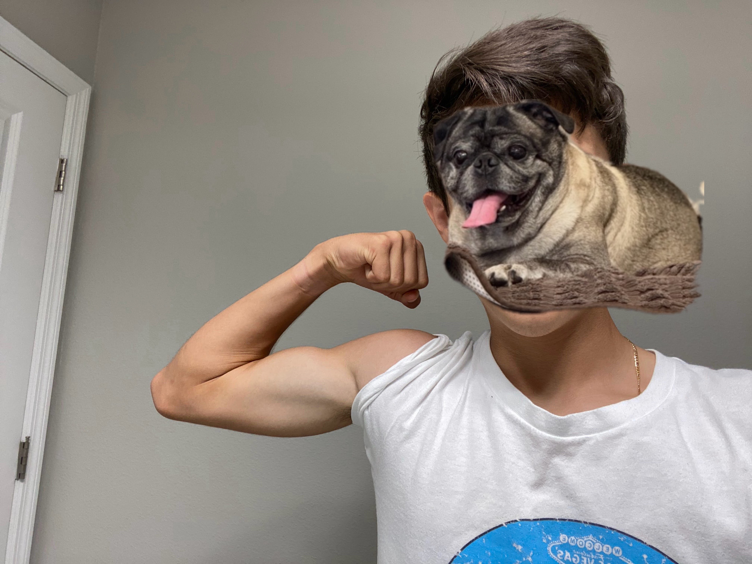 @nicol&aacute;s