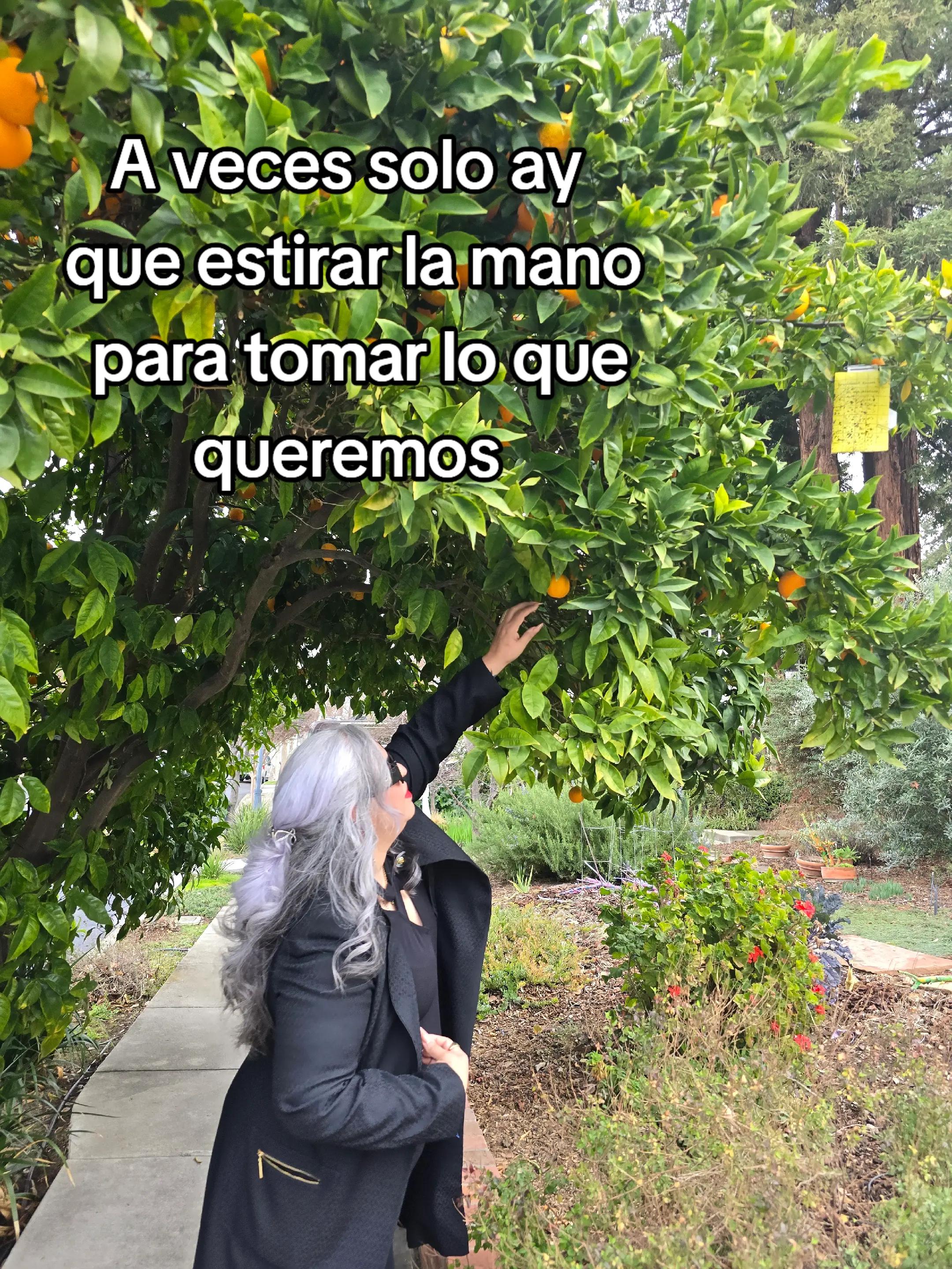 @Mary Zarazua