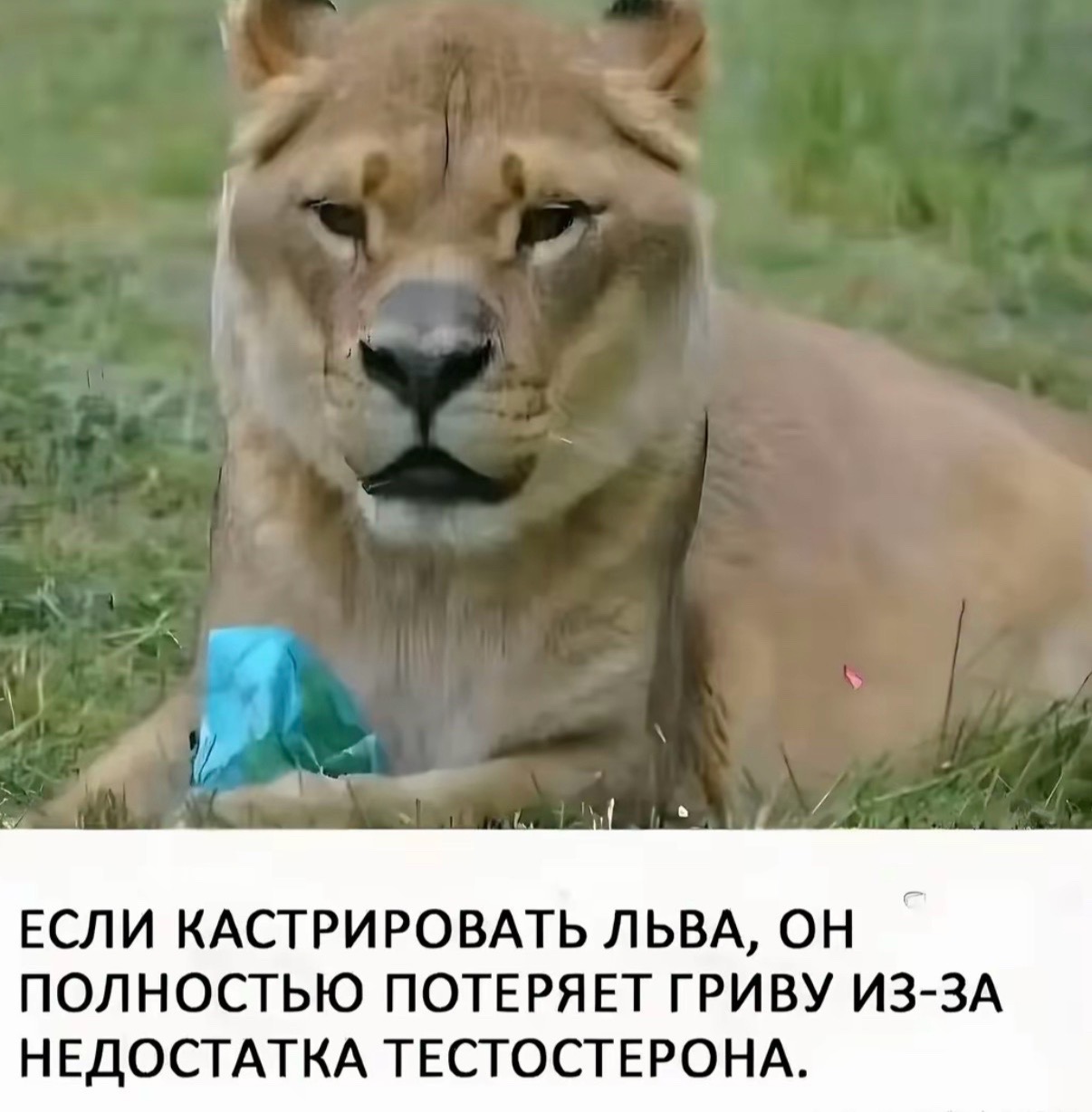 @марар