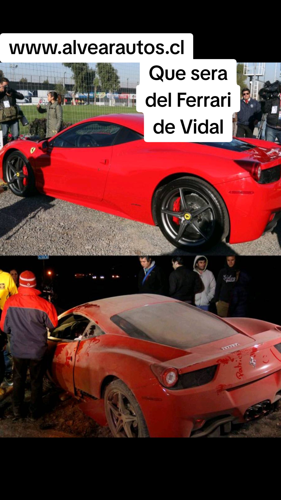 @www.alvearautos.cl