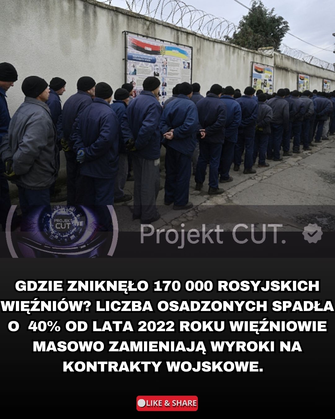 @Projekt CUT.