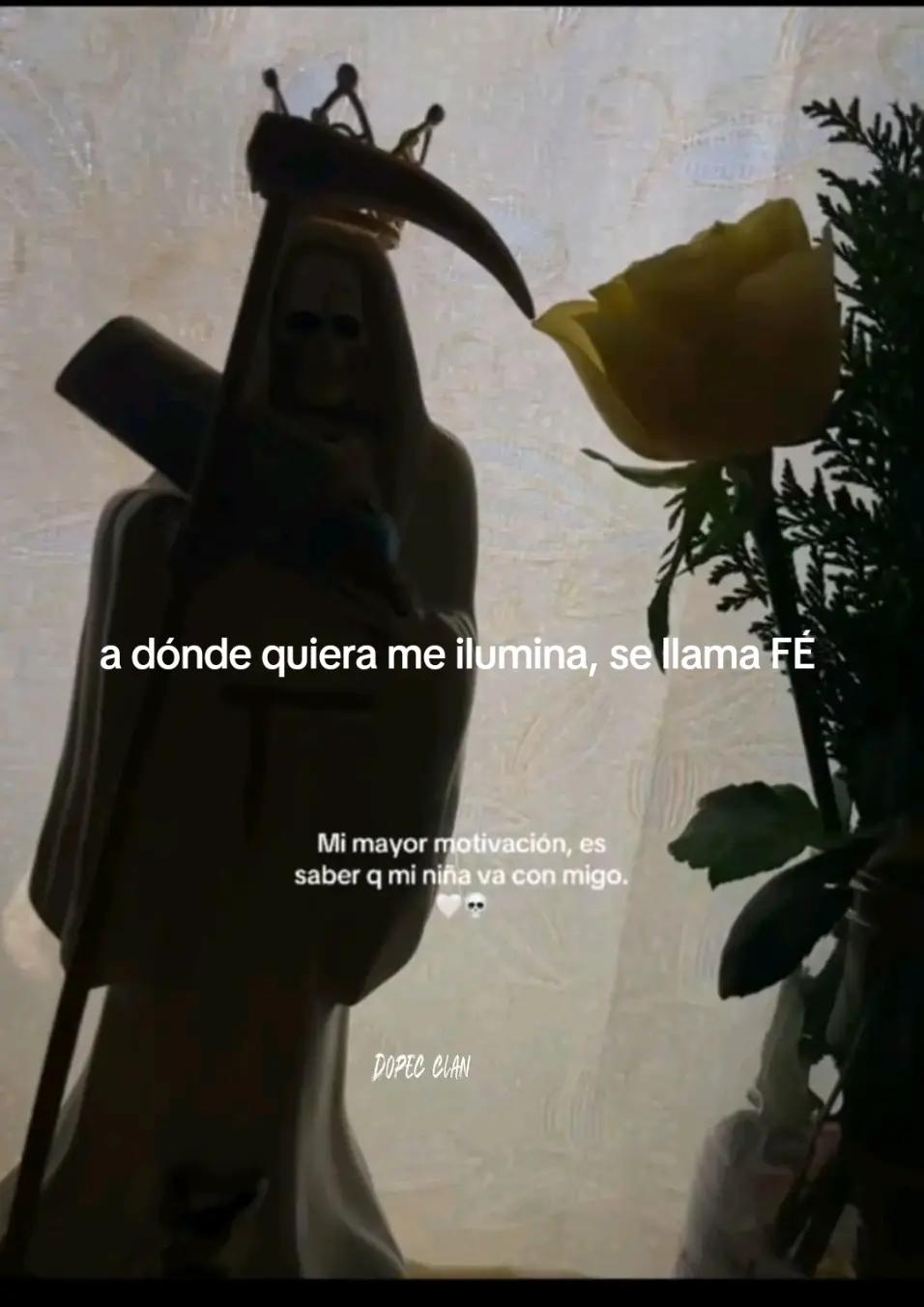 @Yann 🕷️💀