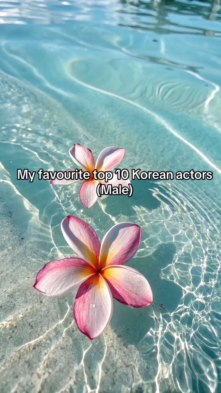 @๐๐ฅน Kørèã ๐ฅน๐