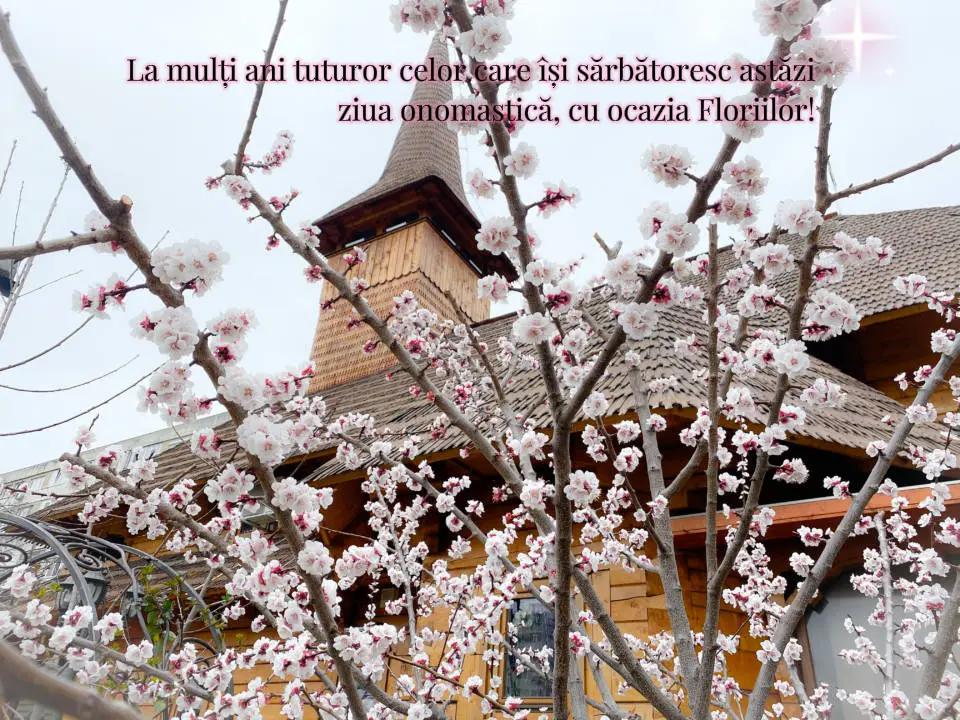 @Ionel Goidescu