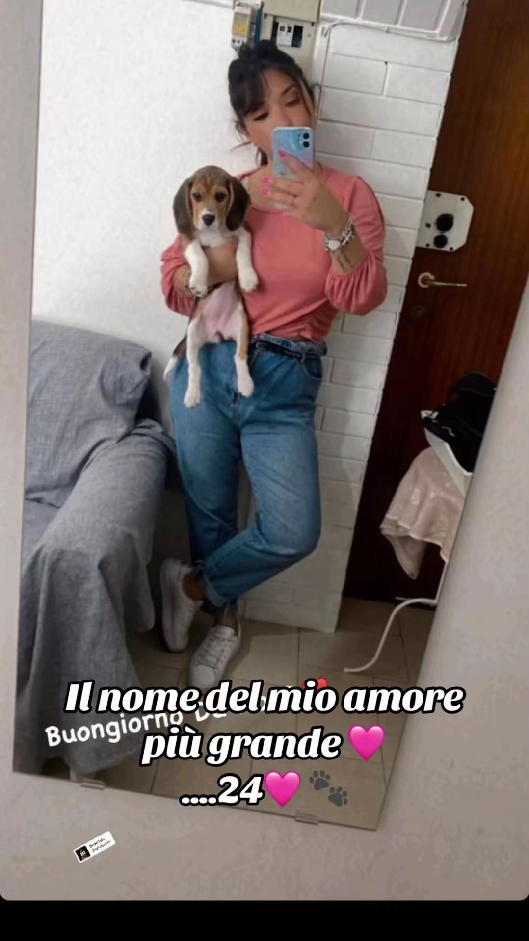 @Rosaria🦋💎🌻👑🌹