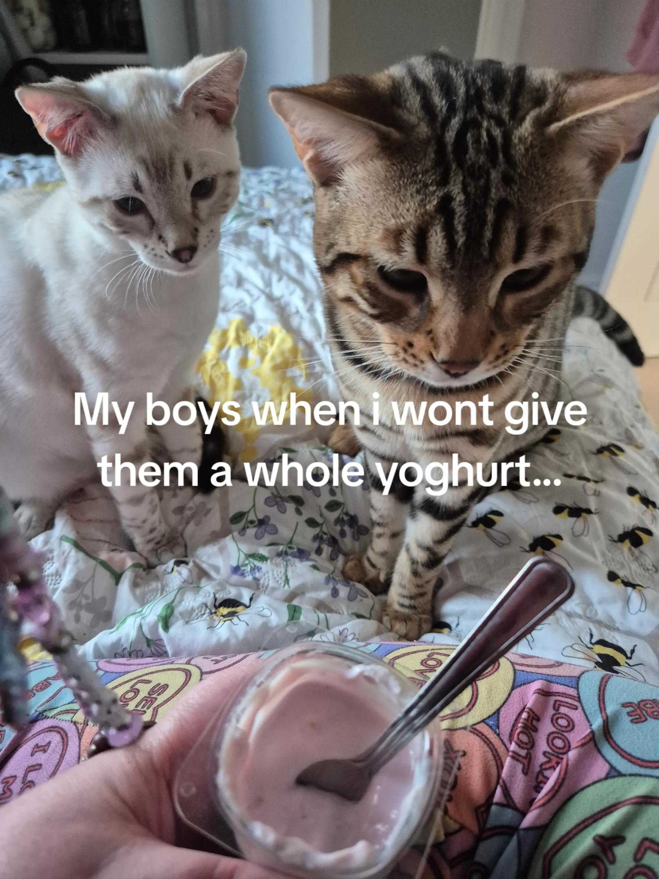 @brattylittlerainbowgirl